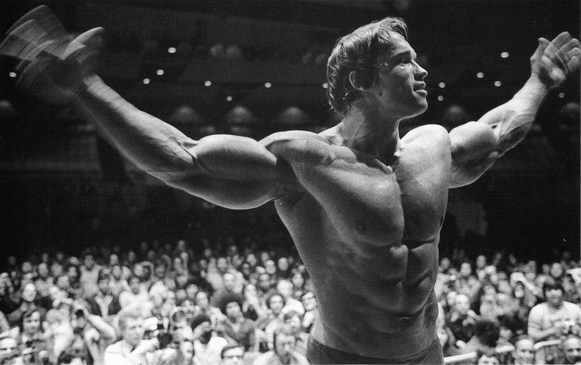 1920x1210 Arnold Schwarzenegger Wallpaper, Desktop