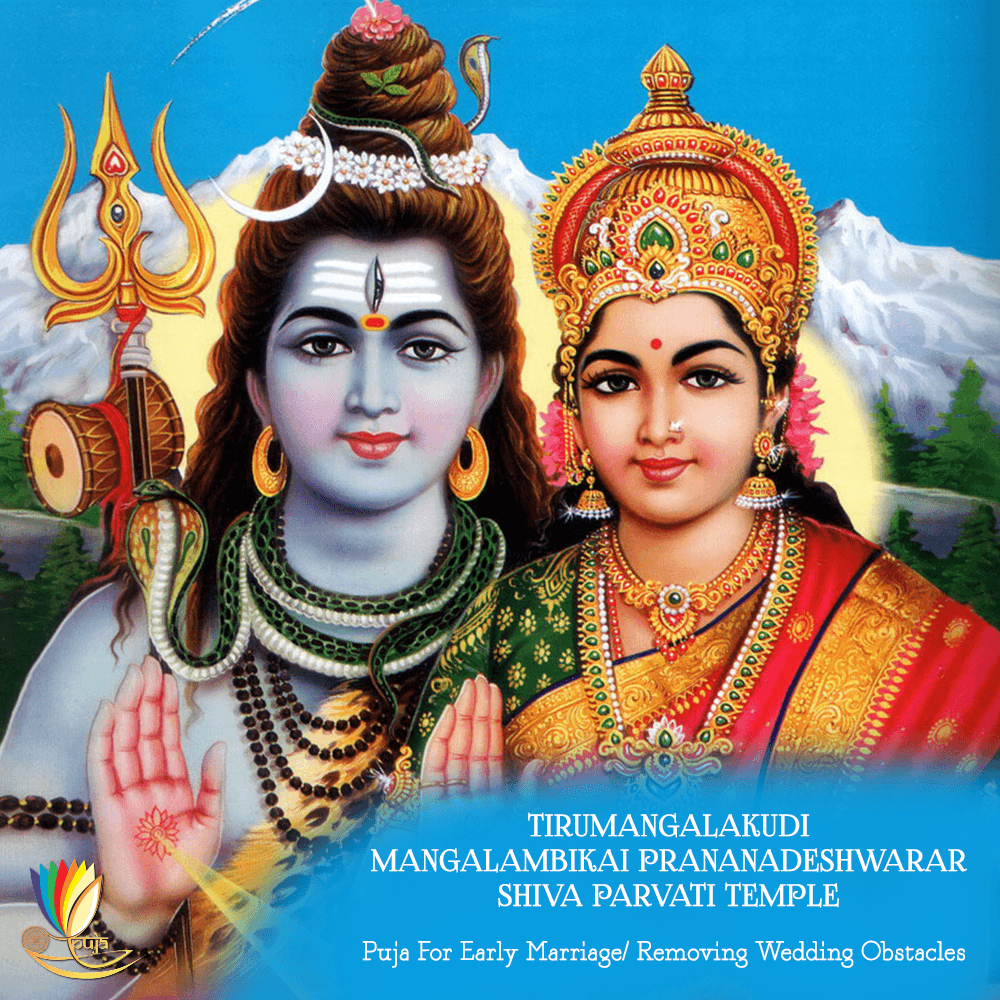 1000x1000 God Siva Parvathi PNG Transparent God Siva Parvathi.PNG Image, Phone