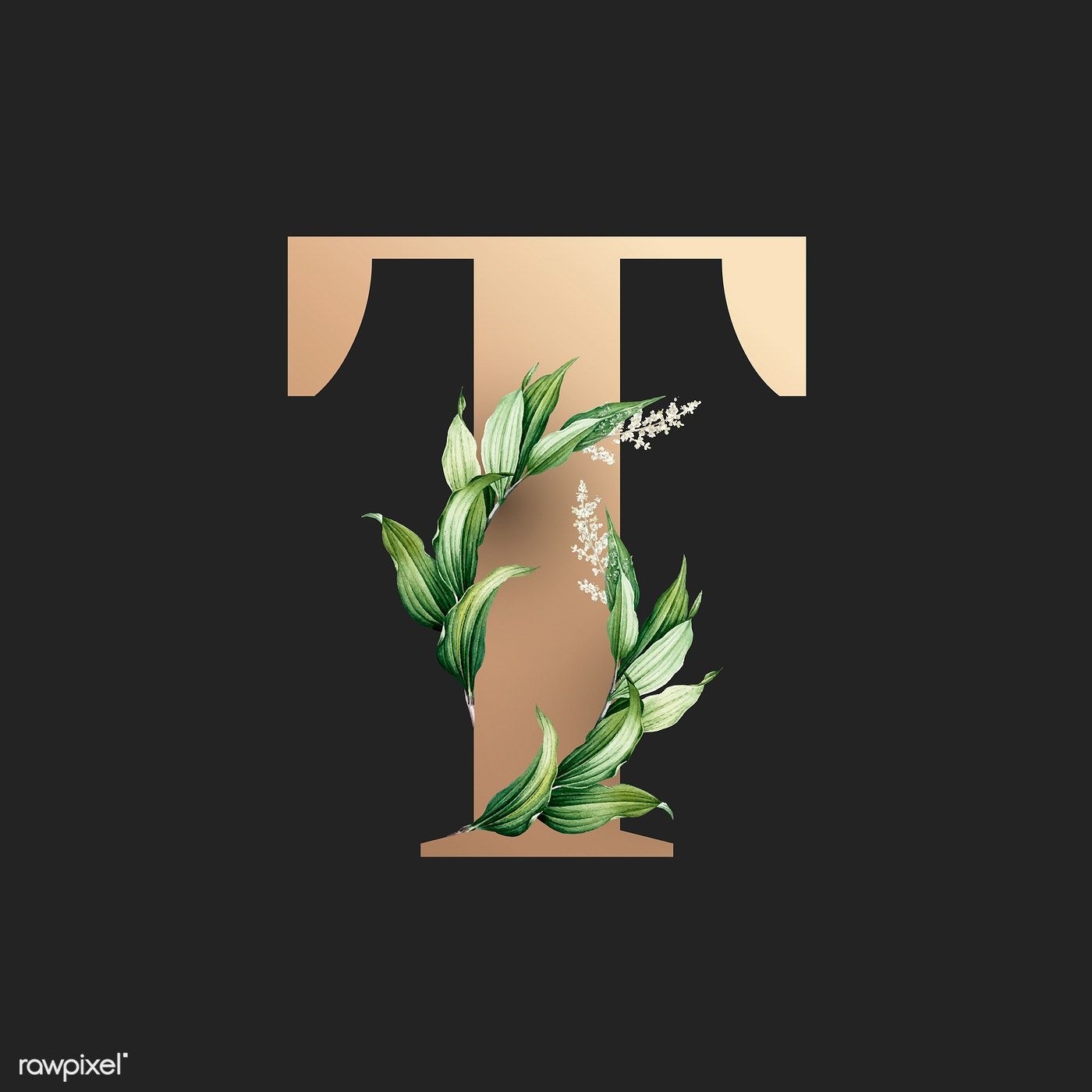 1400x1400 Botanical capital letter T vector. premium image / Aum / Donlaya / Kappy Kappy / manotang. Lettering alphabet fonts, T wallpaper, Lettering, Phone