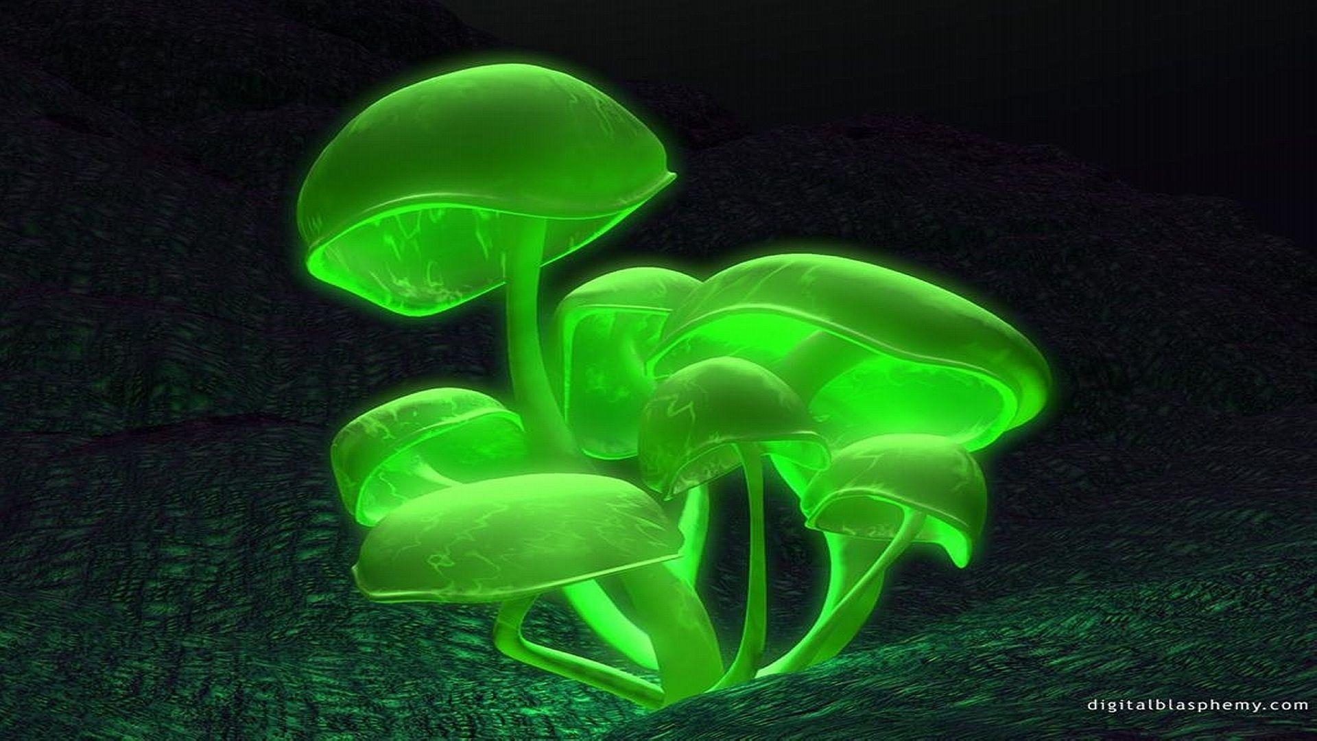 1920x1080 Wrestling Glowing Shrooms Wallpaper HD, HQ Background. HD, Desktop