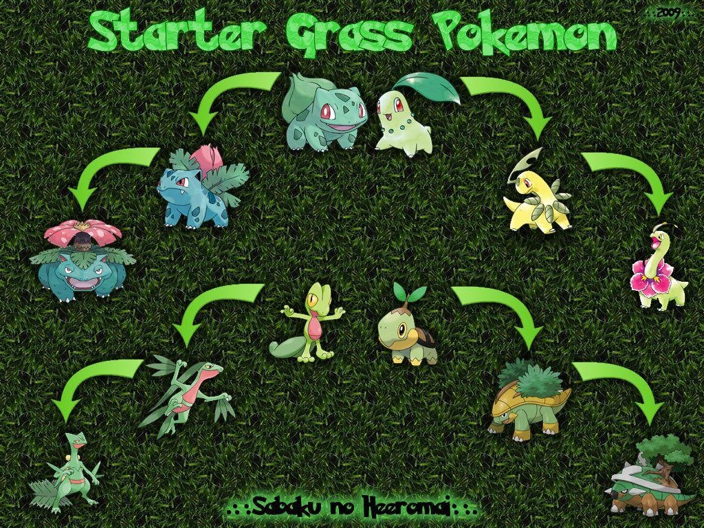 1030x770 pokemon chikorita turtwig grass bulbasaur, Desktop