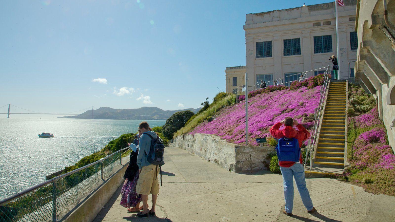 1600x900 Flowers Picture: View Image of Alcatraz Island, Desktop