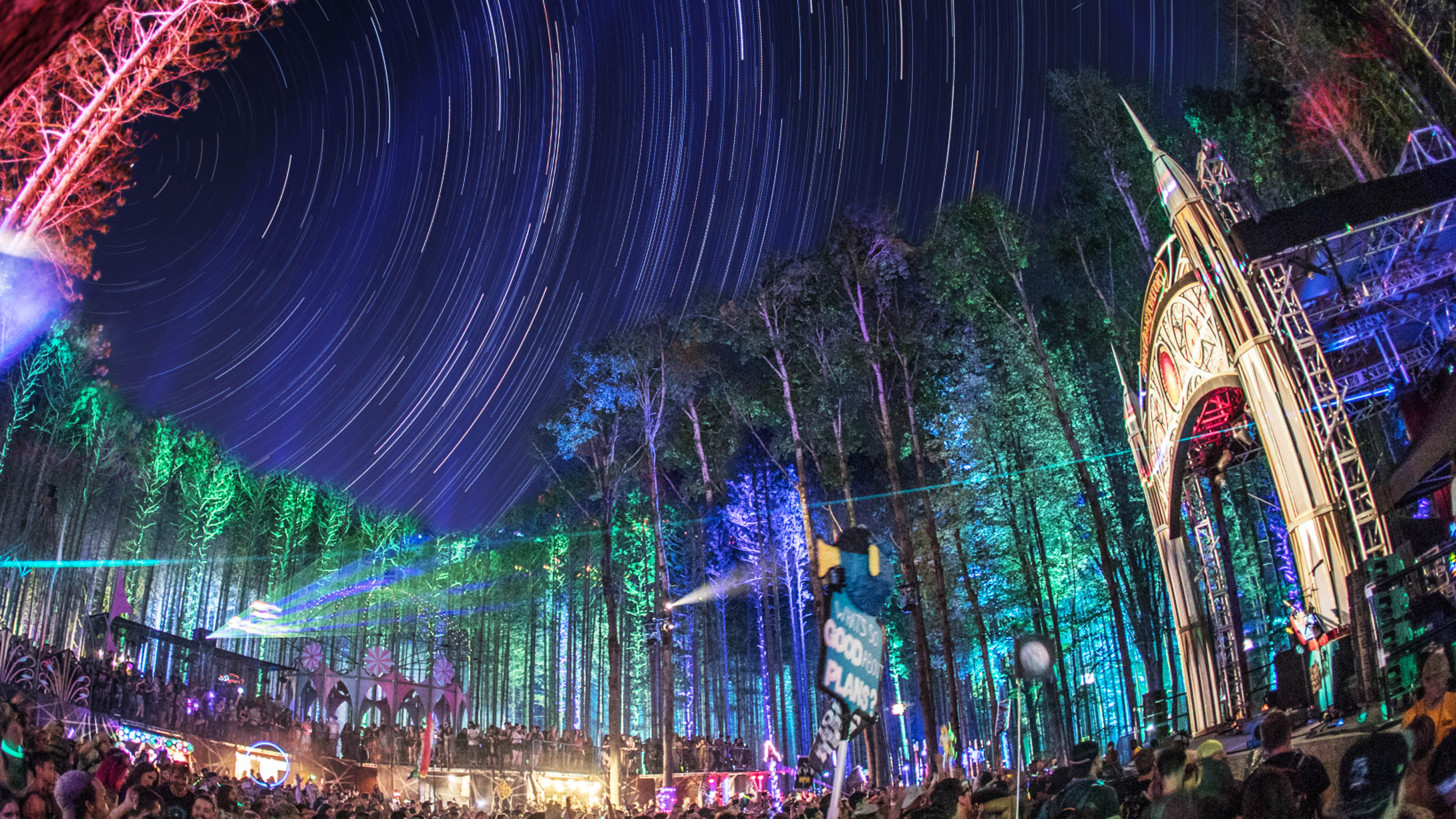 4000x2250 Electric Forest Wallpaper, Desktop