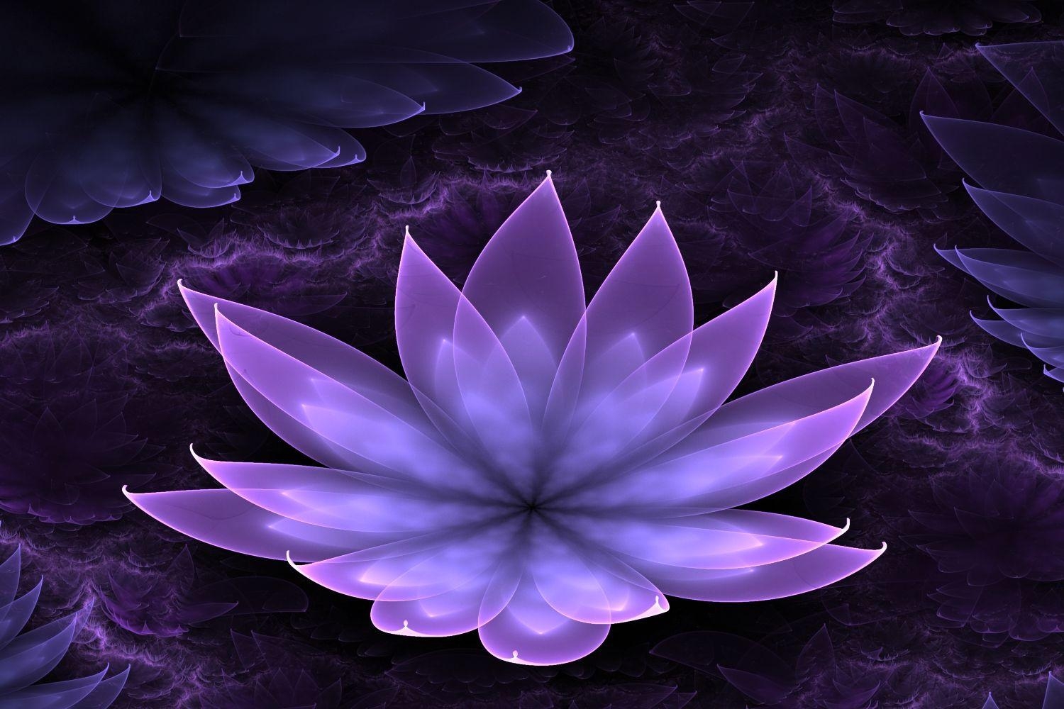 1500x1000 lotus flower image and wallpaper Download, Desktop