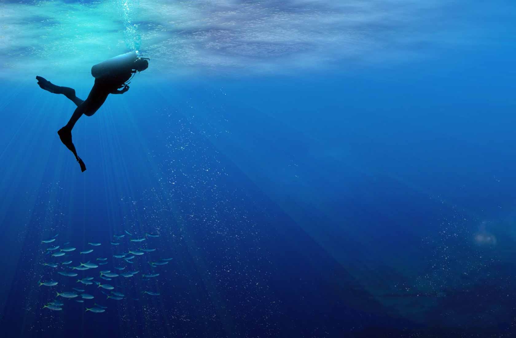 1680x1100 411964 411964 Diving Wallpaper, Desktop