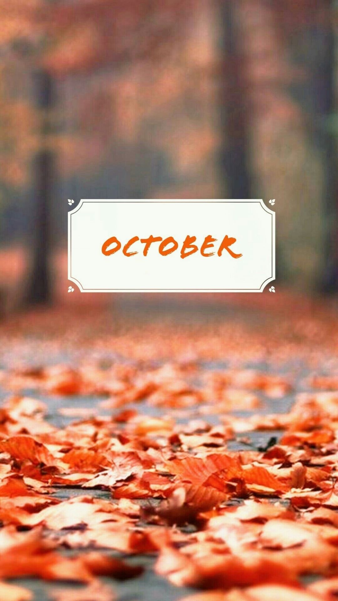 1080x1920 Hello Autumn Sign Wallpaper, Phone