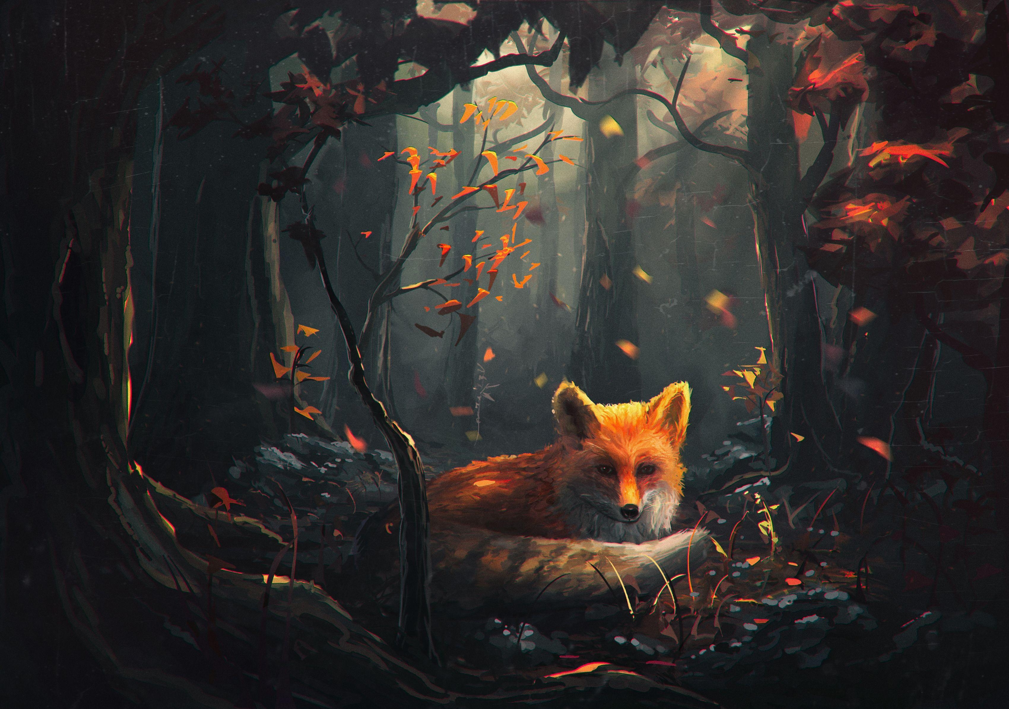 3400x2390 Fox HD Wallpaper and Background Image, Desktop