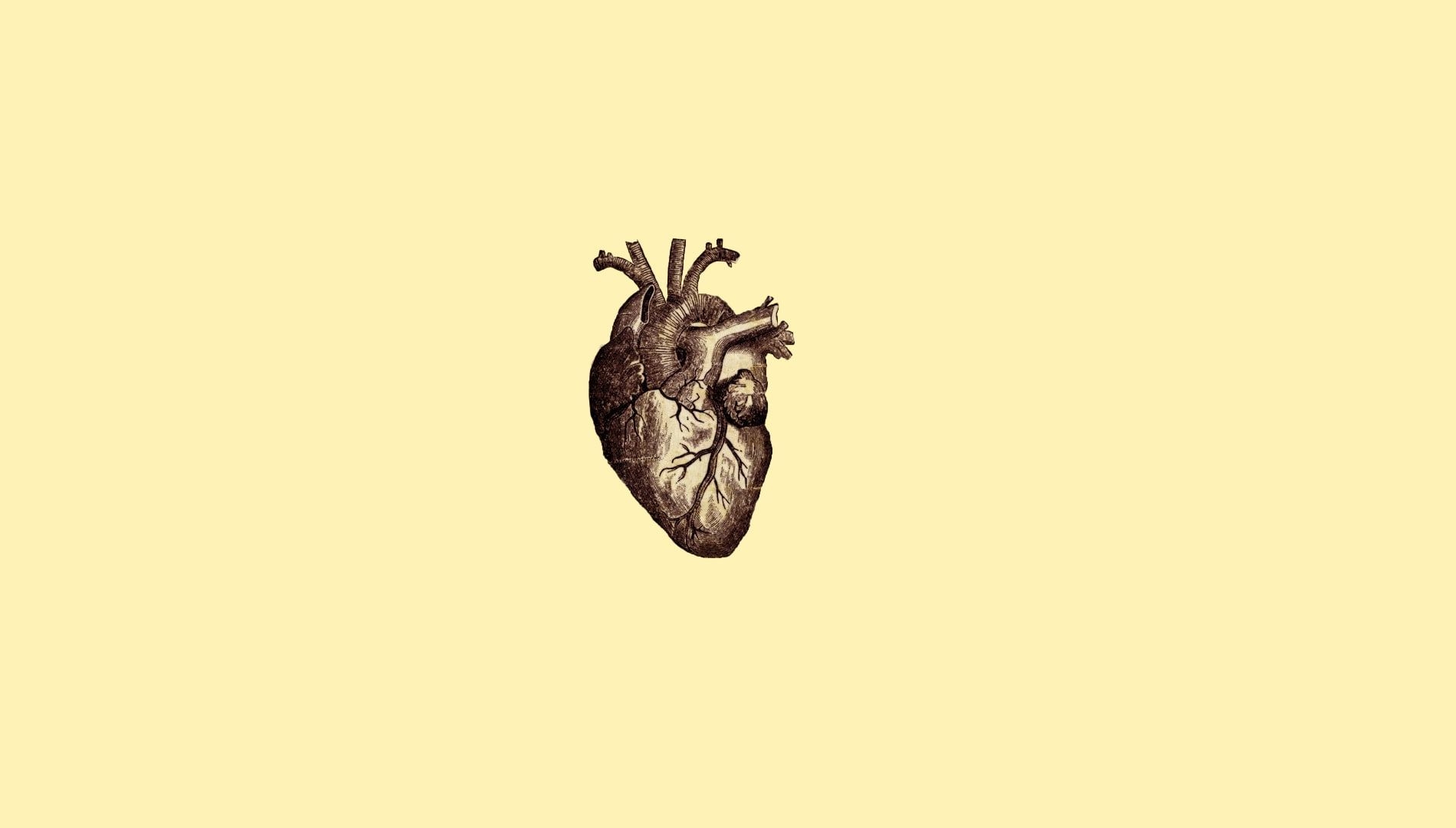 1900x1080 simple background #simple #minimalism #drawing #heart #veins #anatomy #medicine digital art P #wallp. Wallpaper notebook, Macbook wallpaper, Desktop wallpaper, Desktop