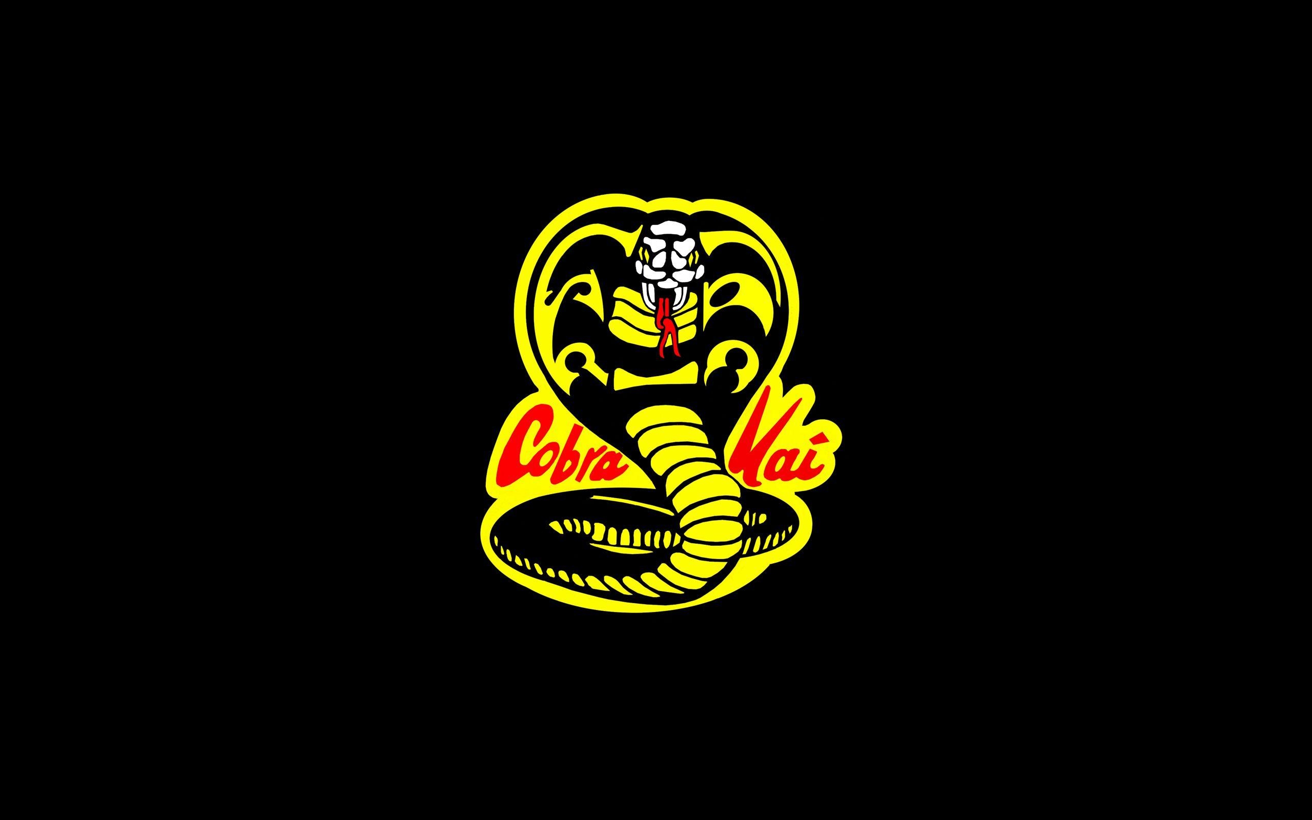 2560x1600 Cobra Kai Wallpaper, Desktop