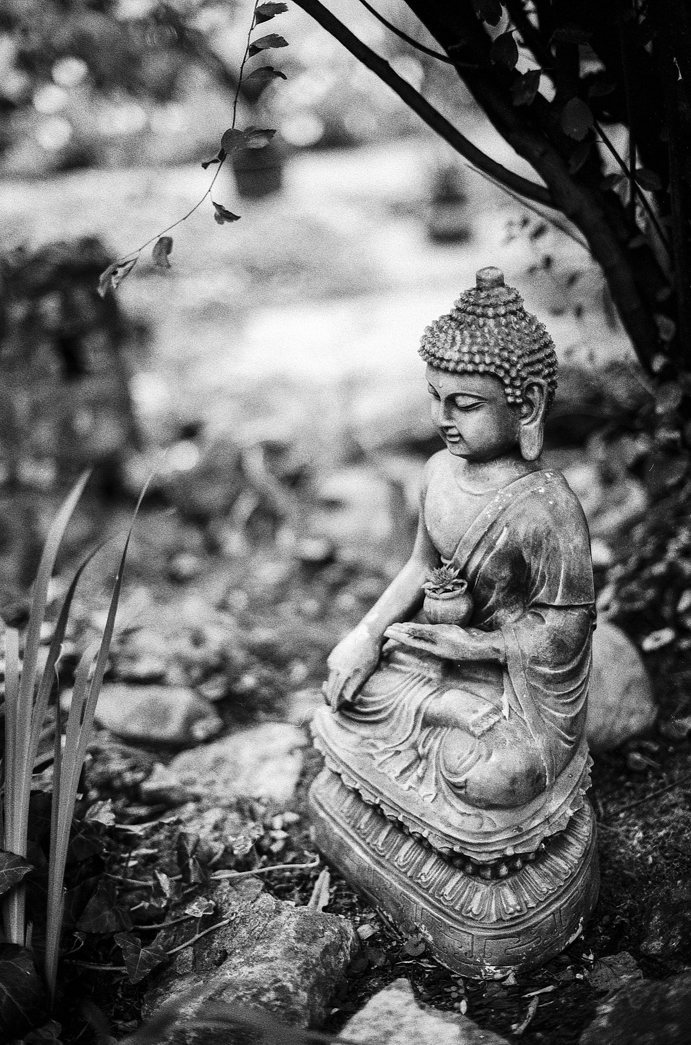 2260x3410 meditating buddha grayscale photography free image, Phone