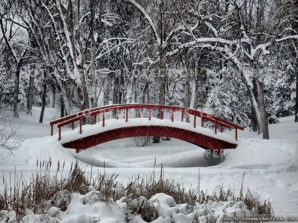 1030x770 winter wonderland scene forest bridge, Desktop