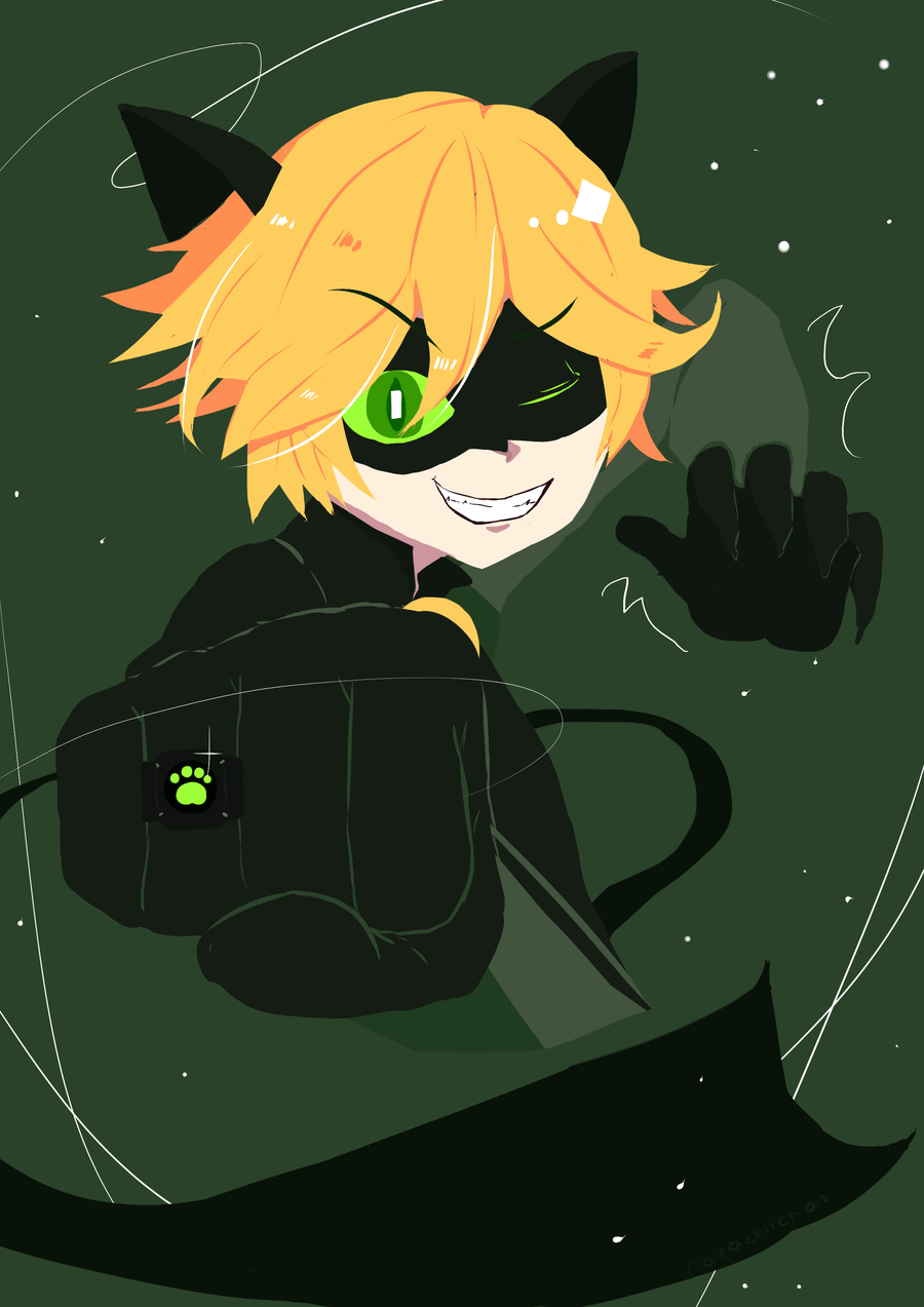 900x1280 Cat Noir 2d Picture to, Phone