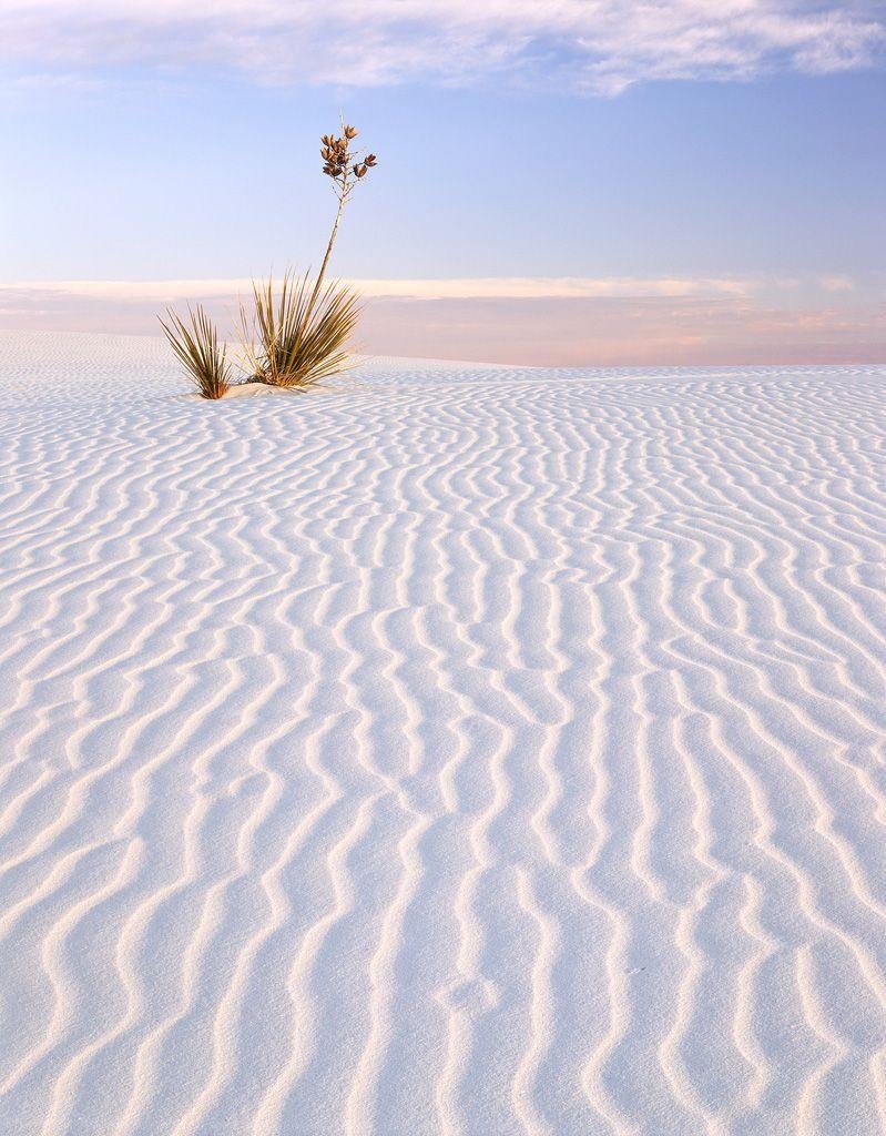 800x1030 White Sands National Monument 2014, Phone