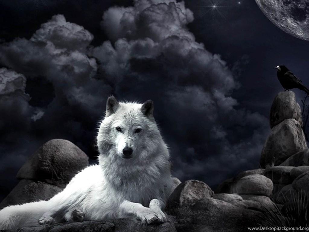 1030x770 Night Wolf Fantasy Wallpaper Desktop Background, Desktop