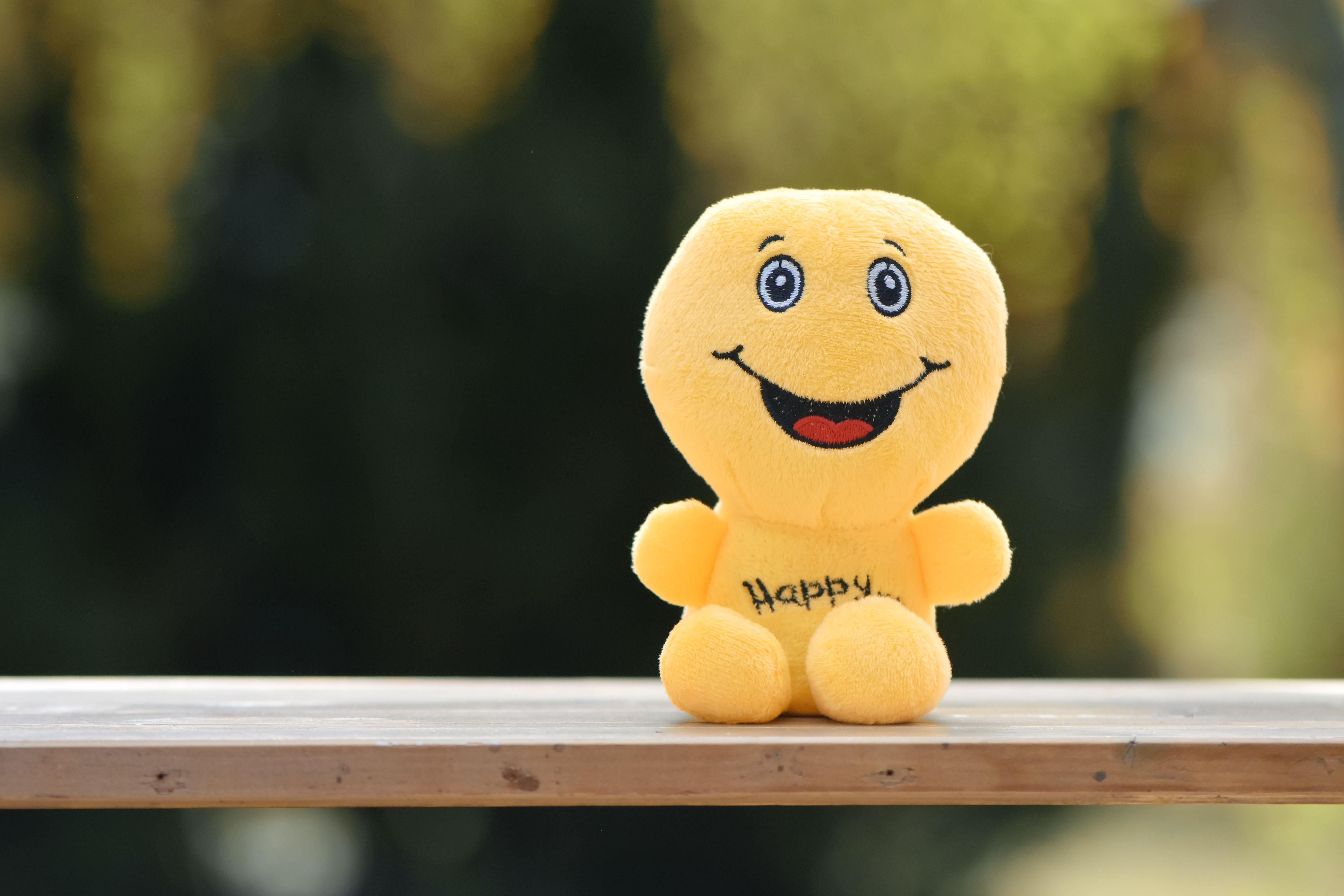 6000x4000 Smiley 4K Wallpaper, Laugh, Happy, Joy, Cheerful, Happiness, 5K, Cute, Desktop