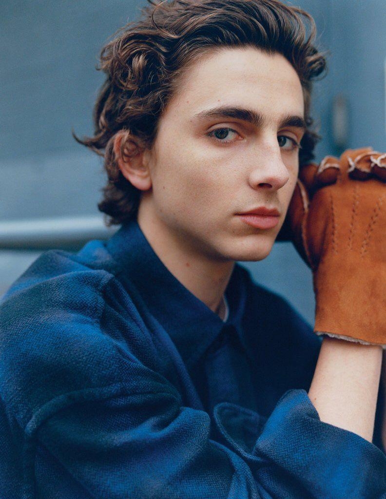 800x1030 Timothee Chalamet wallpaper, Phone