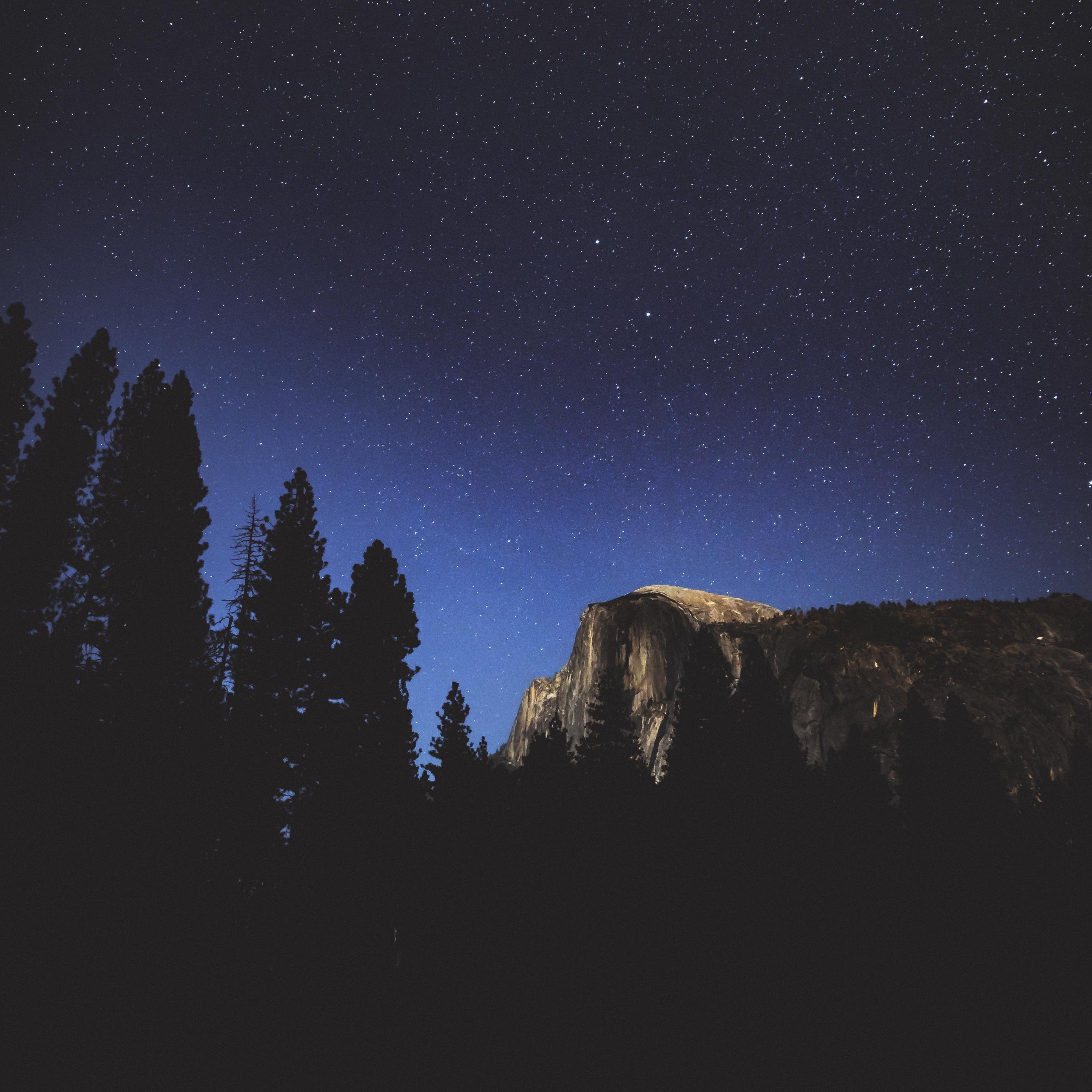 2780x2780 Download wallpaper  night, trees, mountains, stars, forest, Phone