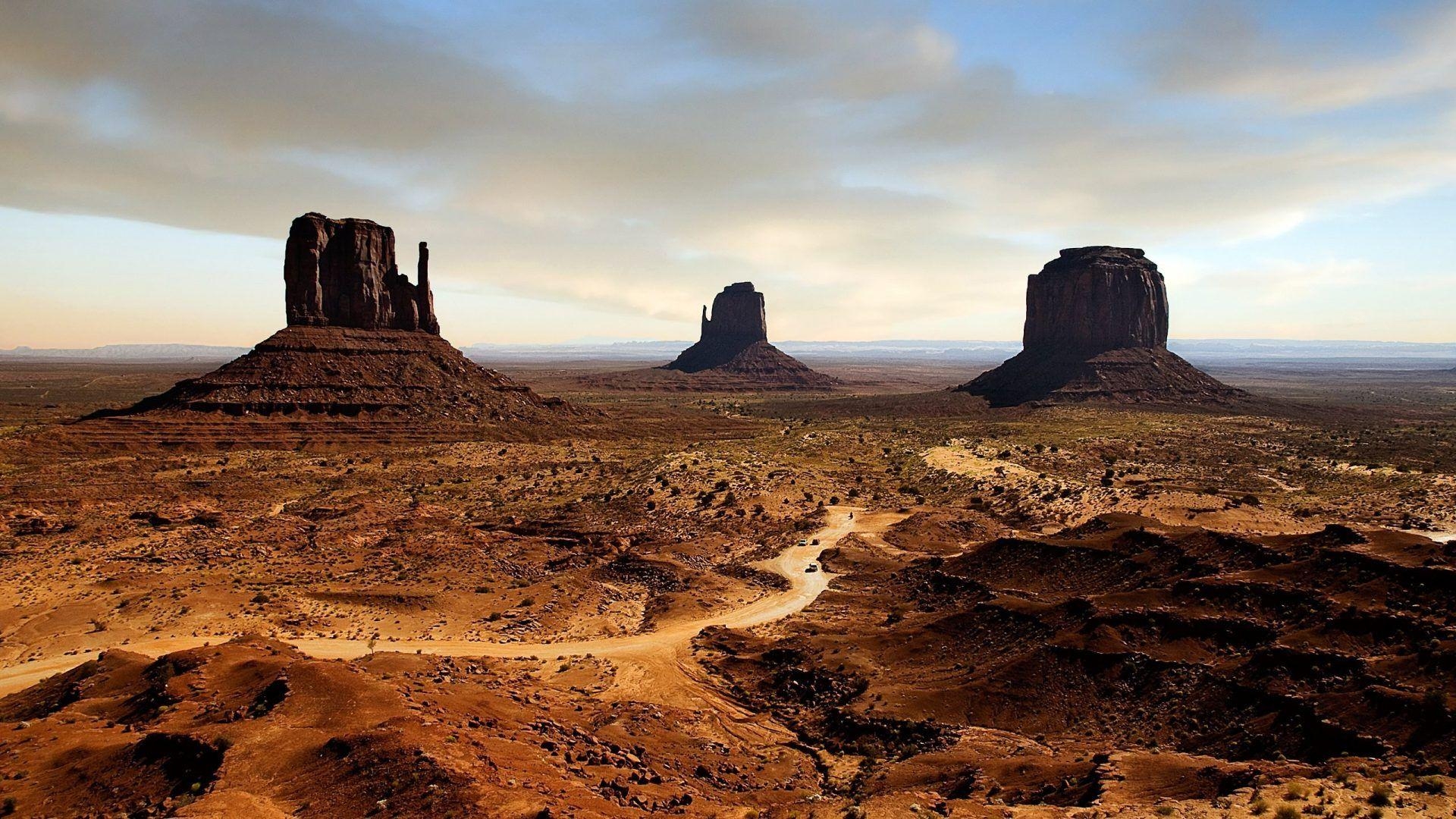 1920x1080 Deserts wallpaper: Plant Desert Bokeh Landscape Flower, Desktop