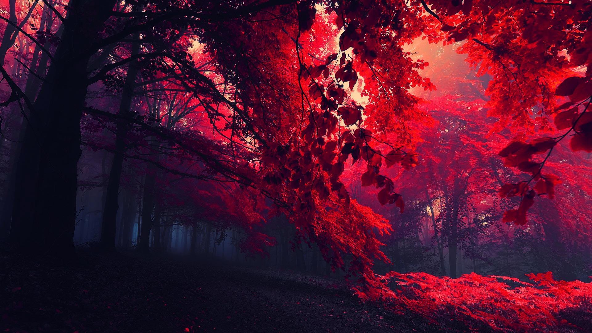 1920x1080 Dark Red Wallpaper, Picture, Desktop