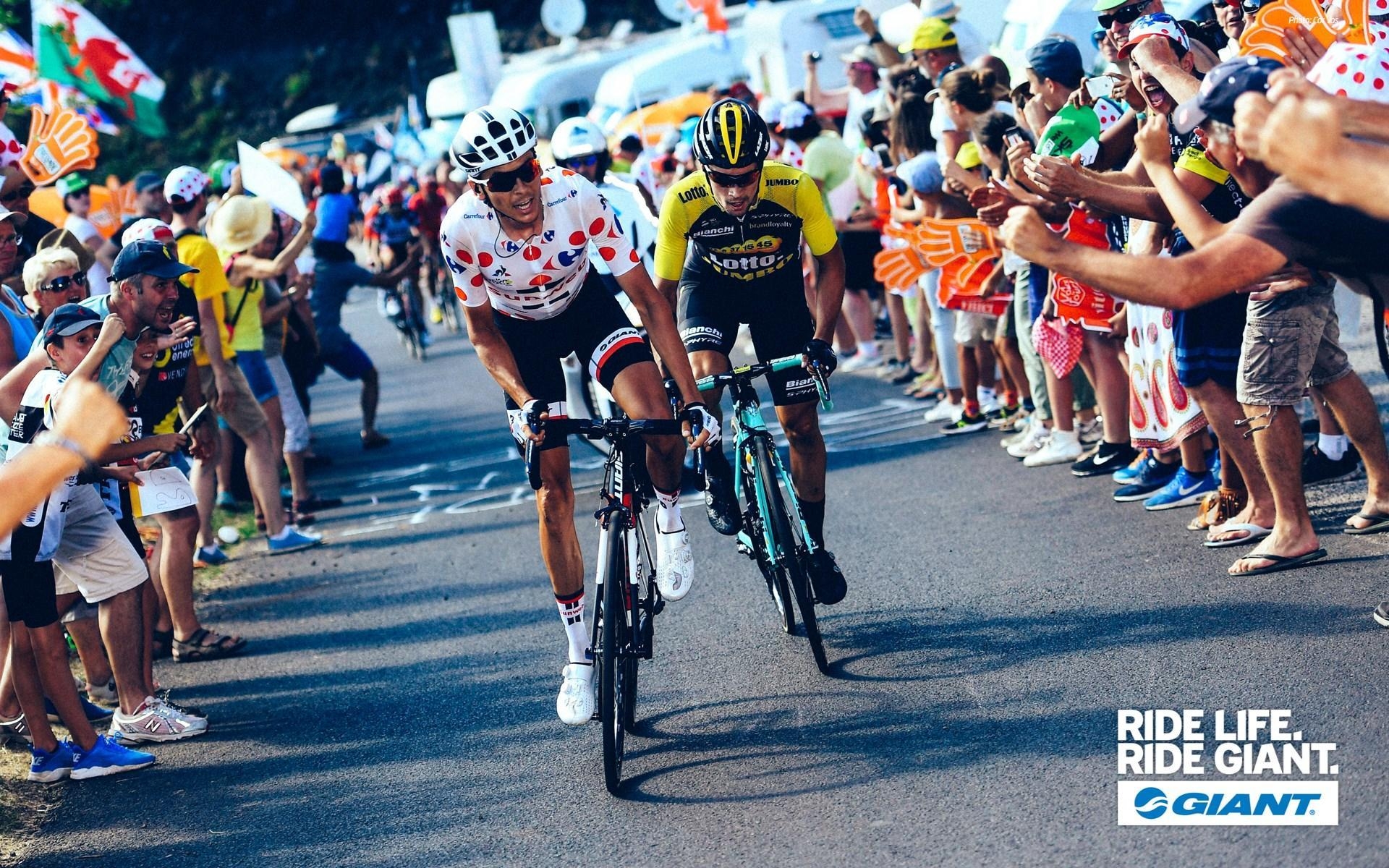 1920x1200 Cycling Wallpaper 14 X 1200, Desktop