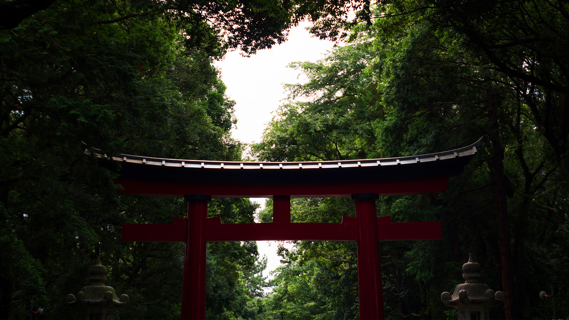 1920x1080 torii gate in forest [], Desktop