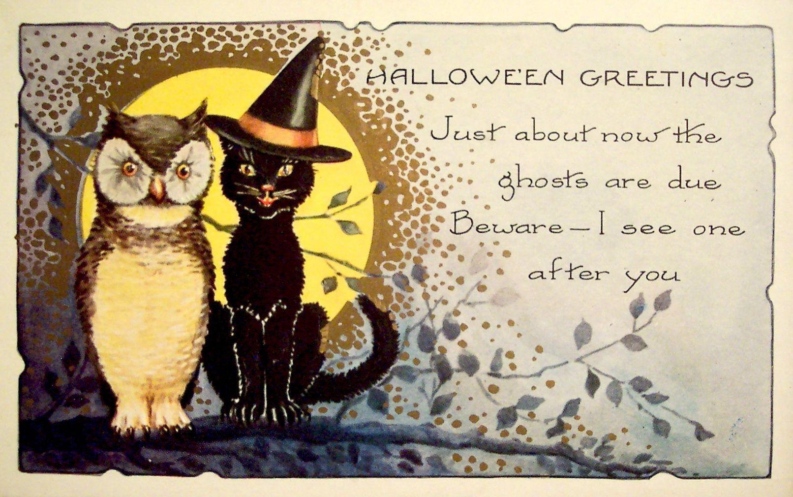 1620x1010 Vintage Halloween Owl Wallpaper, Desktop