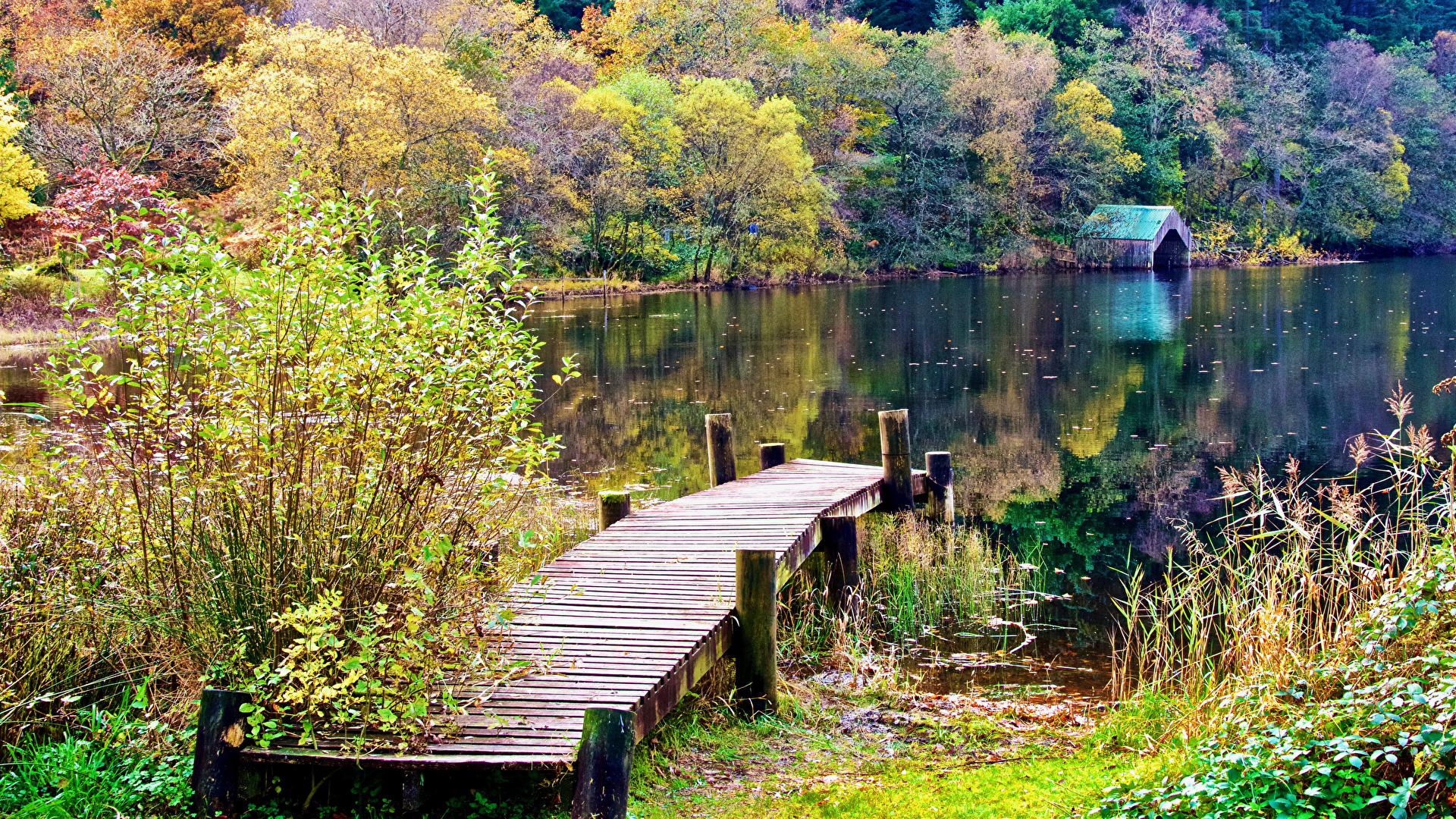 1920x1080 Photos Scotland Aberfoyle Autumn Nature Lake forest Berth, Desktop