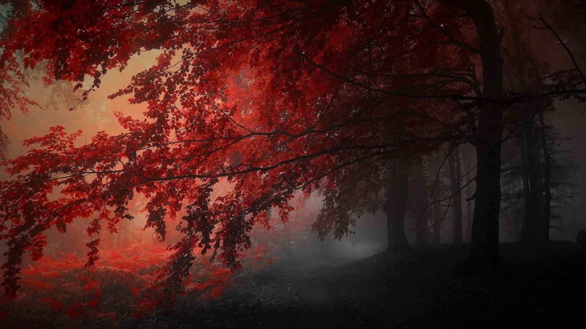 1920x1080 Red And Black Aesthetic Wallpaper, Desktop