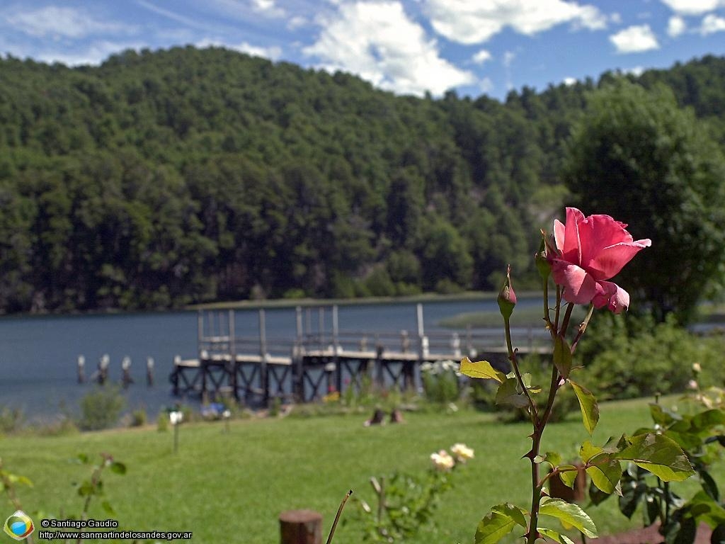 1030x770 Hua Hum Martin de los Andes, Desktop