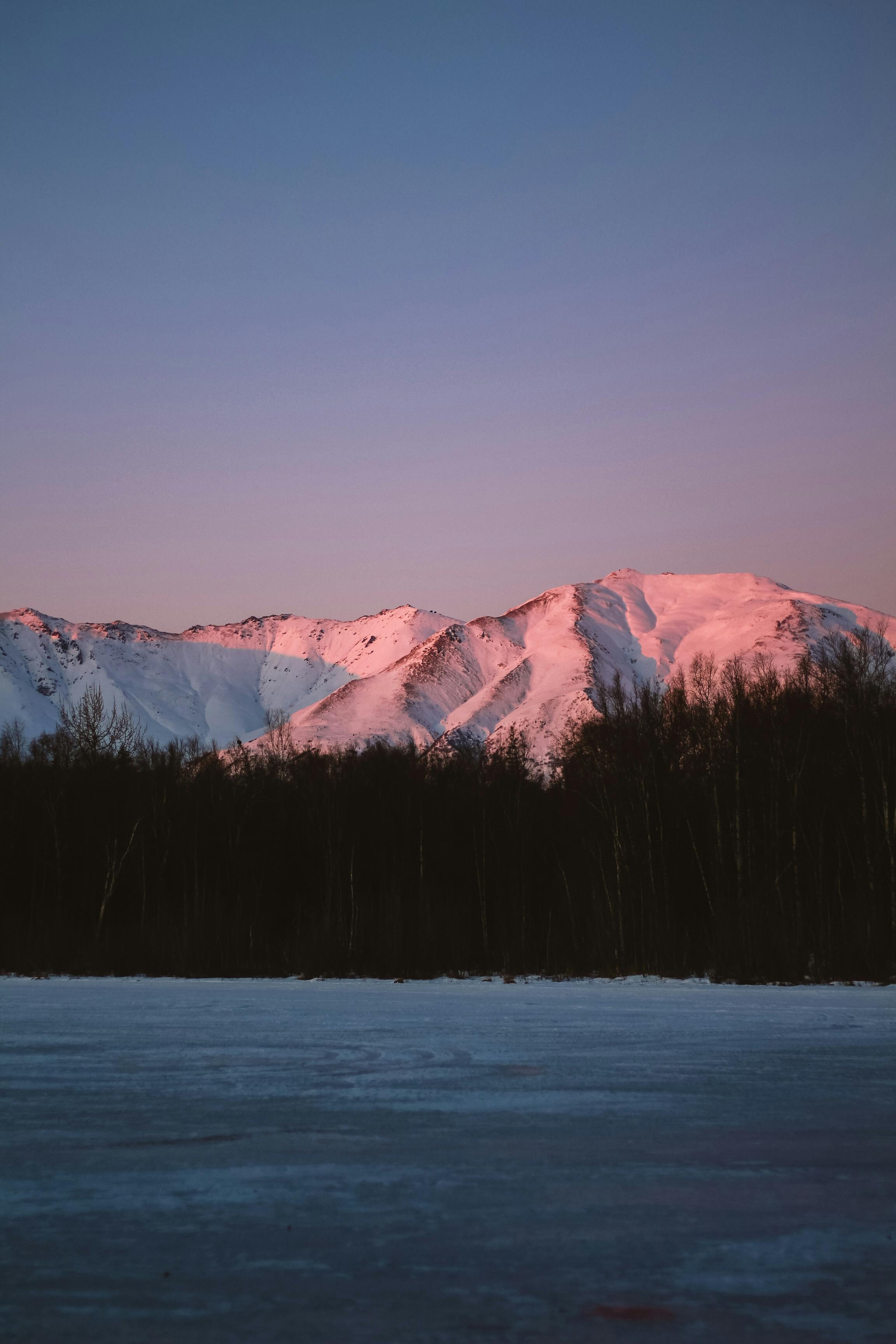 2310x3460 Alaska Photo, Download The BEST Free, Phone