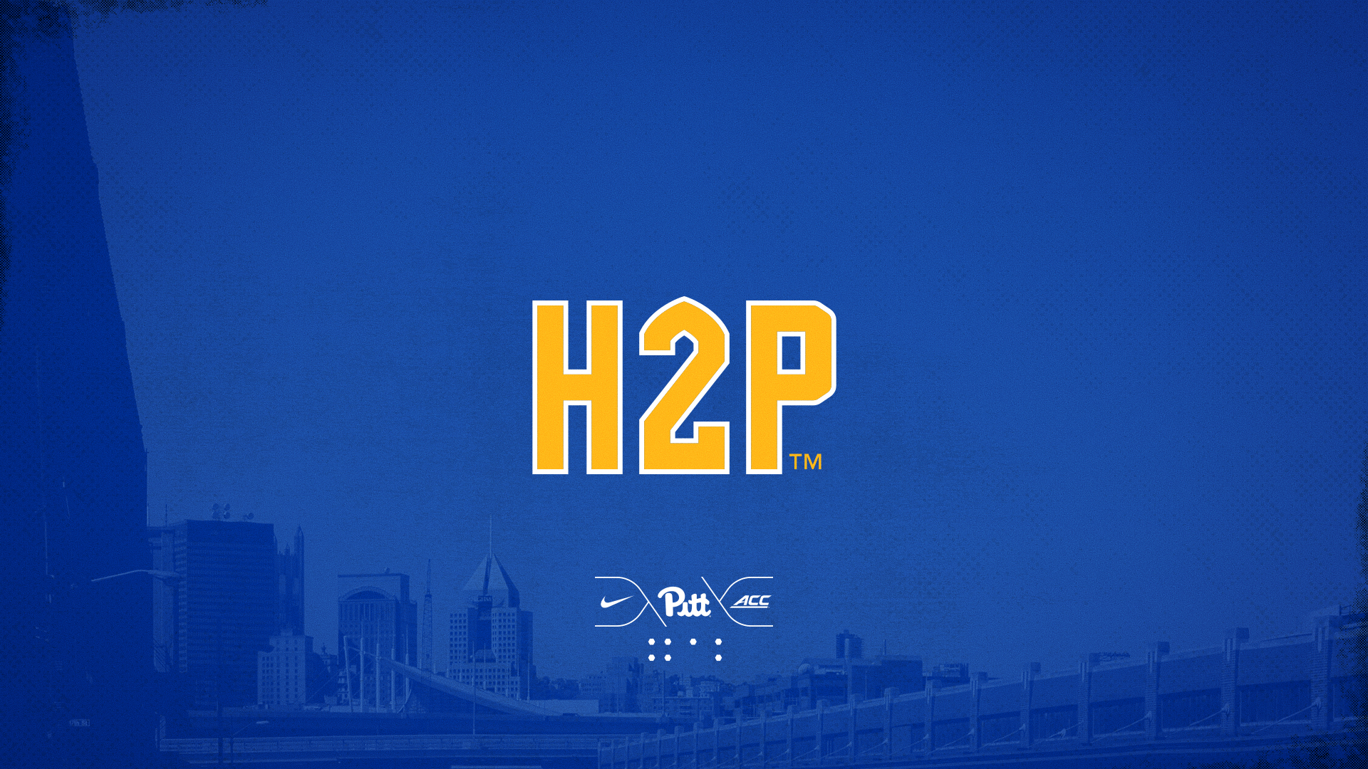 1920x1080 Wallpaper: Mobile and Desktop Panthers #H2P, Desktop