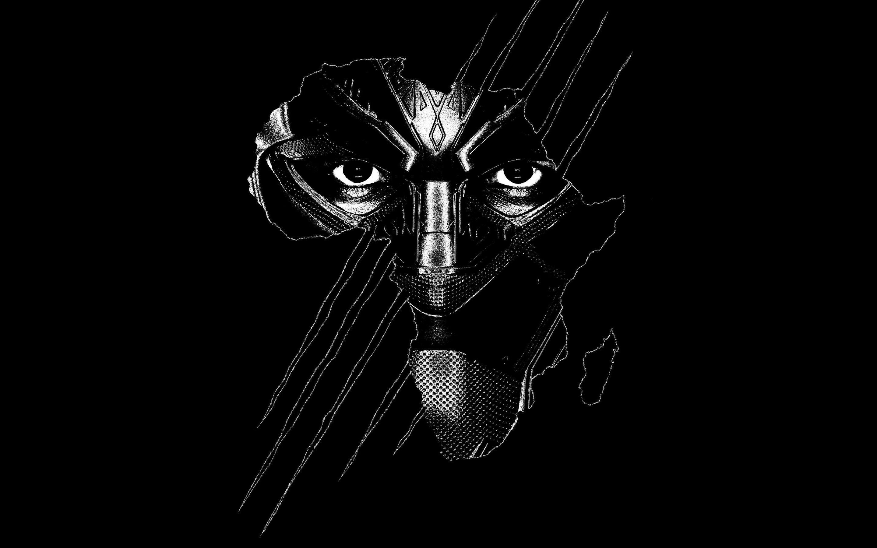 2880x1800 Black Panther HD Wallpaper and Background Image, Desktop