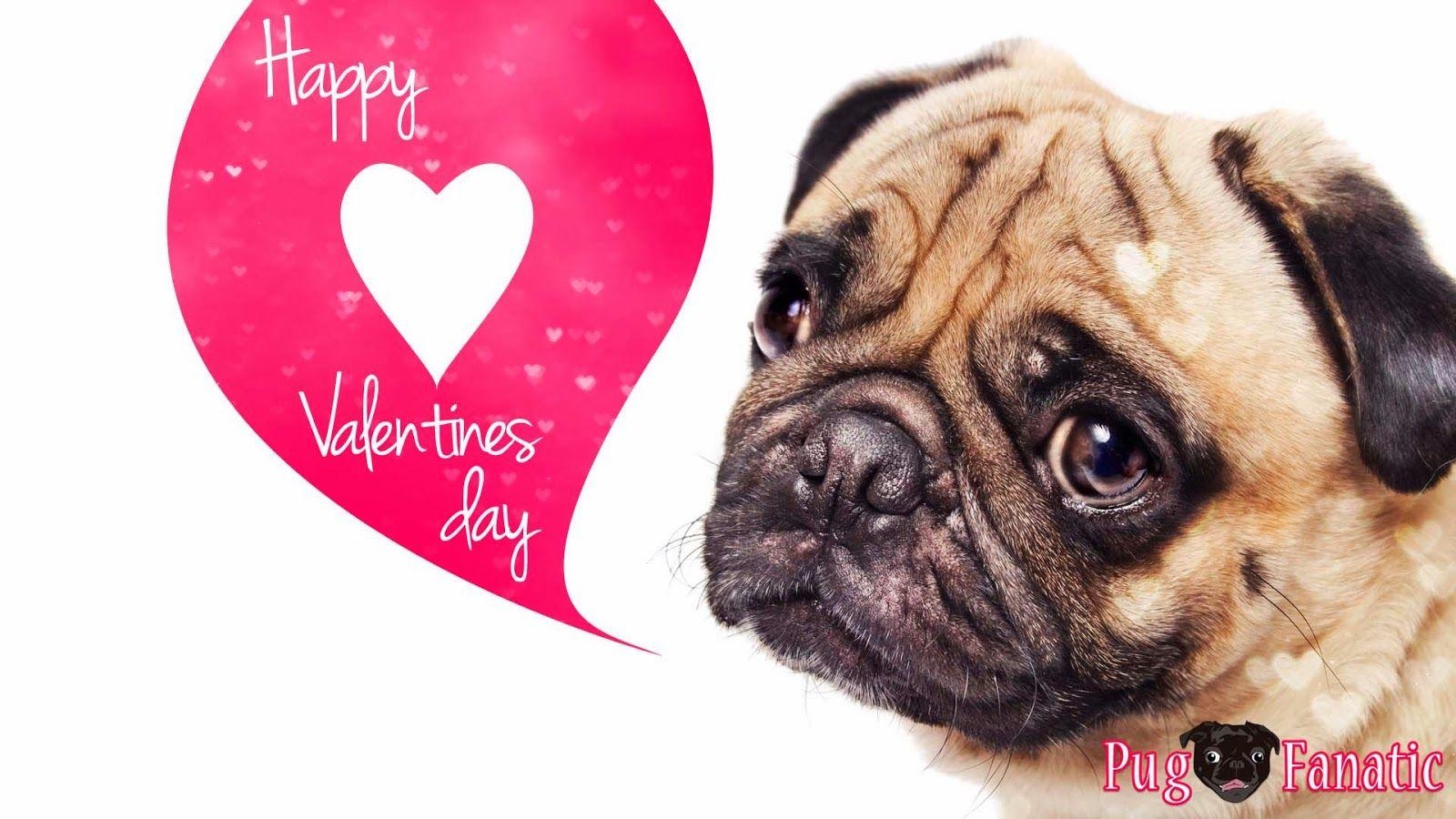 1600x900 Blingee Valentine's Day Dogs Cute, HD Wallpaper, Desktop