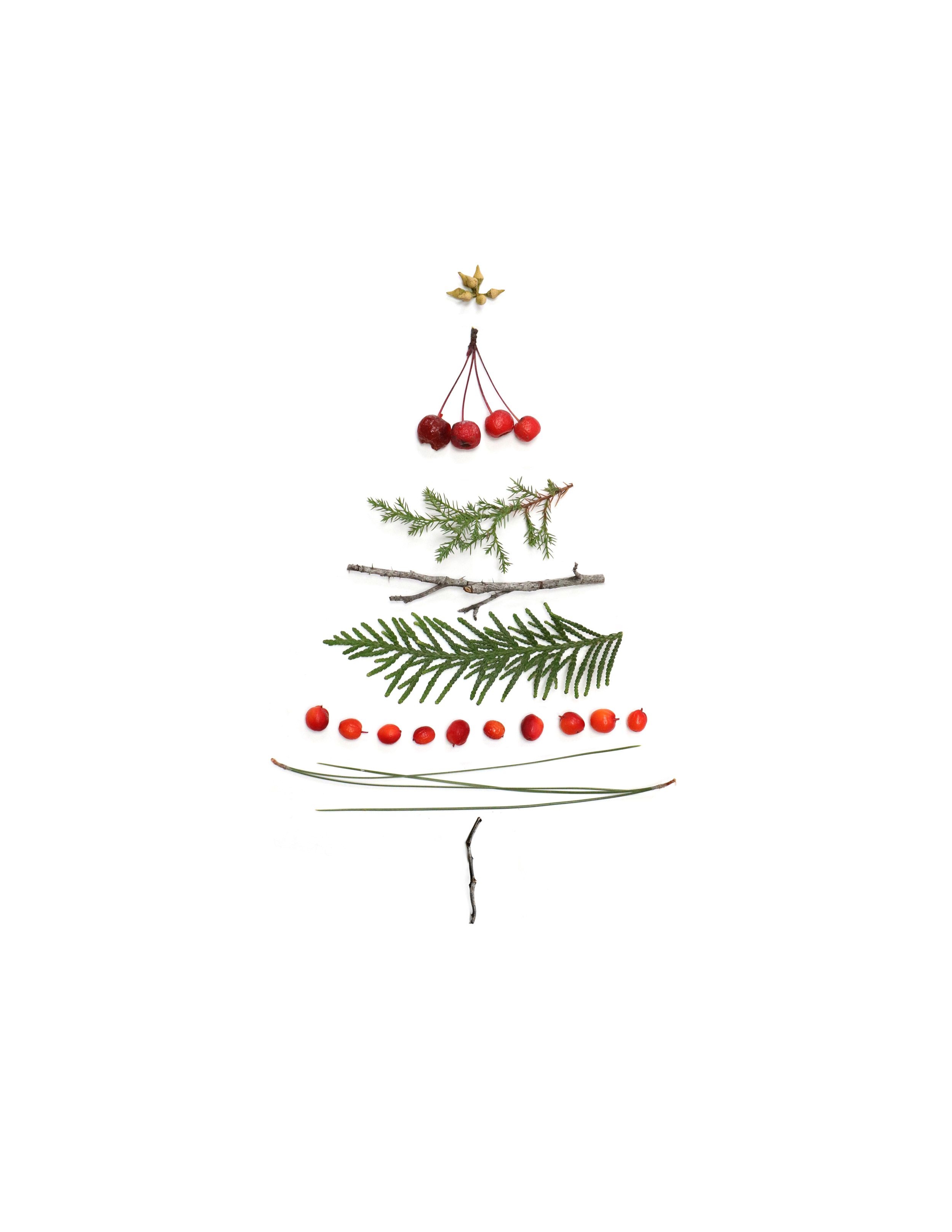 2500x3240 Minimalist Christmas Tree Wallpaper, Phone