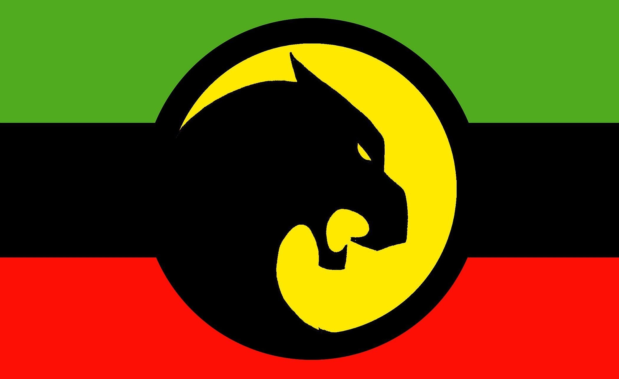 2100x1290 Flag of Wakanda HD Wallpaper and Background Image, Desktop