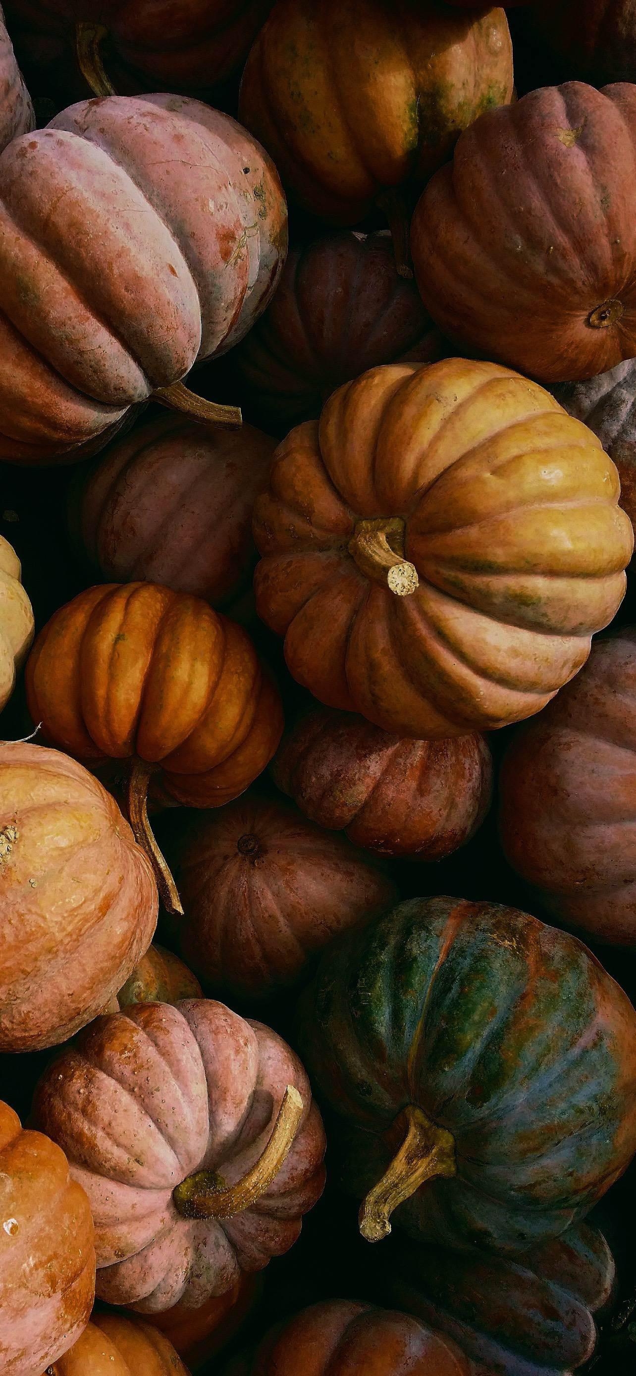 1290x2780 Pumpkin Pile (1284 x 2778), Phone