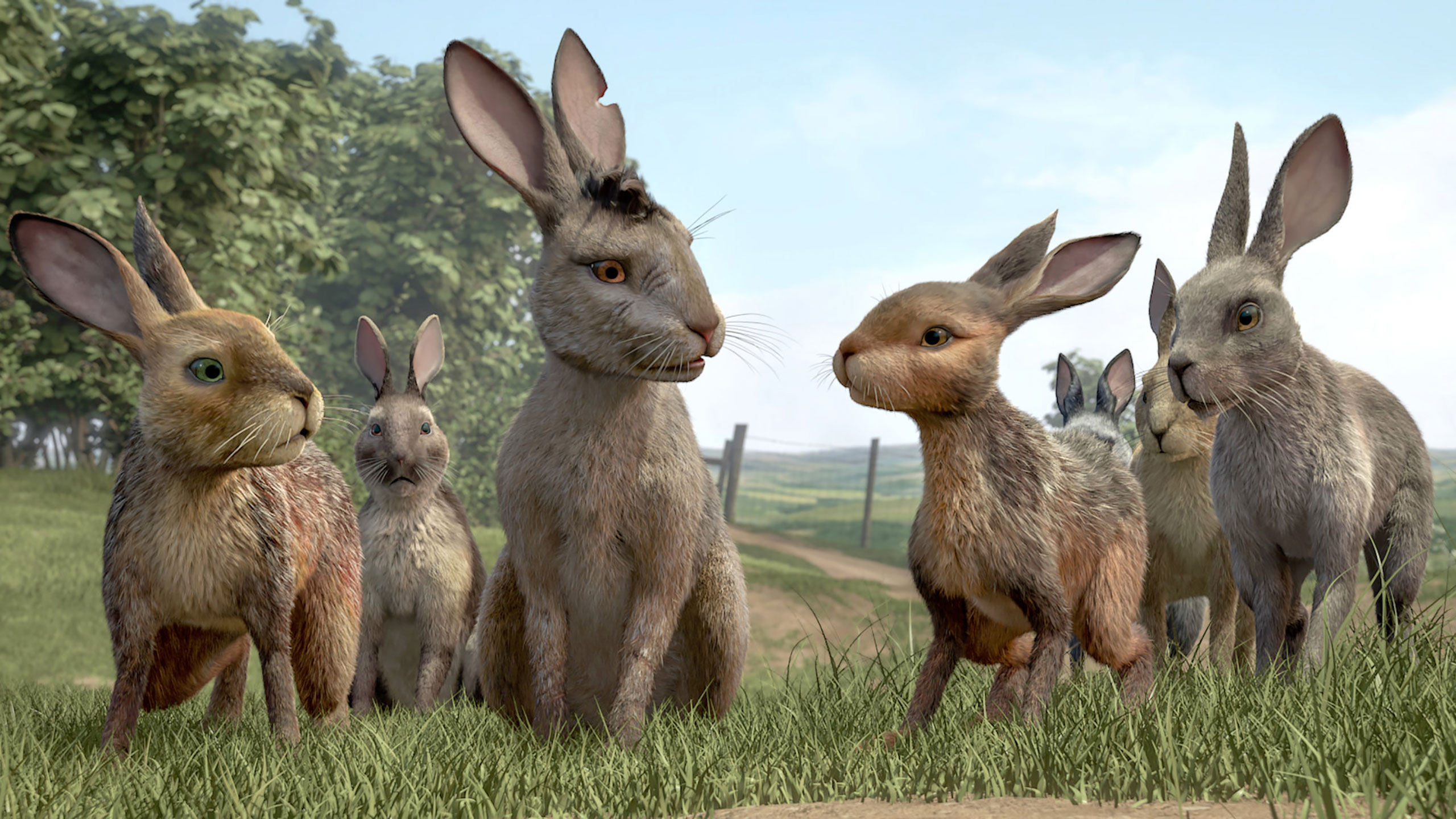 2560x1440 Watership Down': Netflix's Star Studded Animated Rabbit Adventure Leaves Much To Be Desired, Desktop