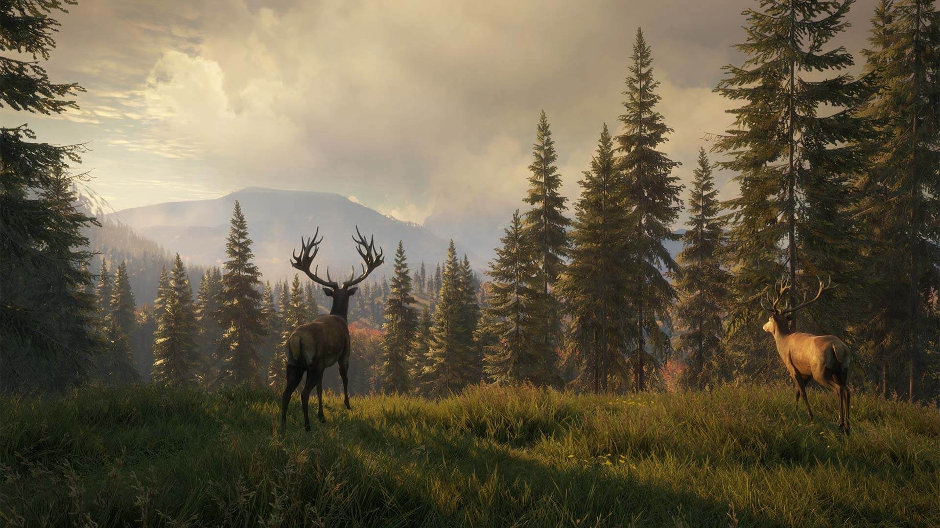 1920x1080 theHunter: Call of the Wild, Desktop