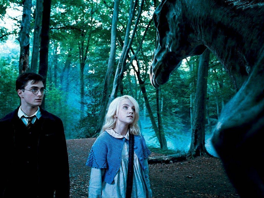 1030x770 Shelter from the Storm: Luna Lovegood, Desktop