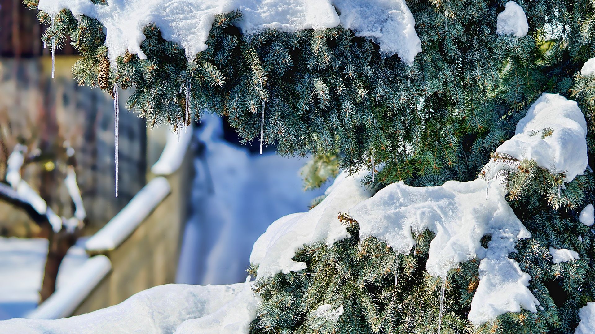 1920x1080 Christmas Snow 4K Chromebook Wallpaper, Desktop