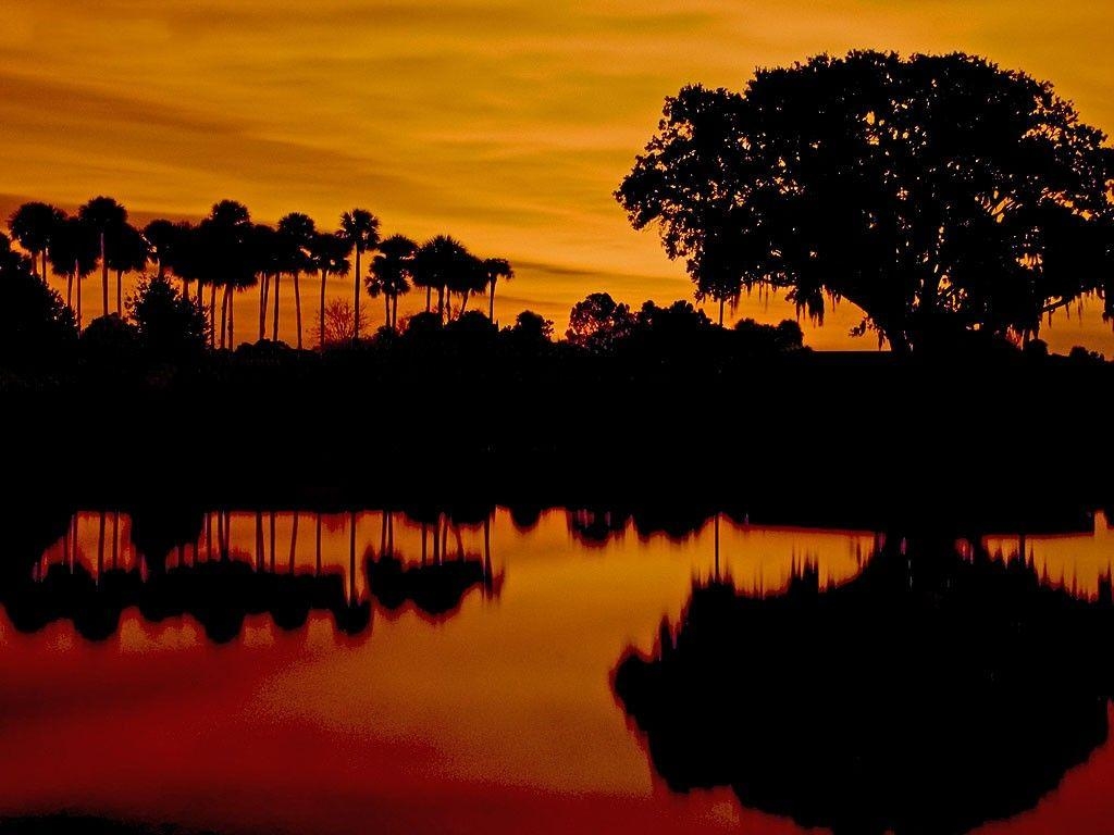 1030x770 fall wallpaper. Florida on my Mind, Desktop