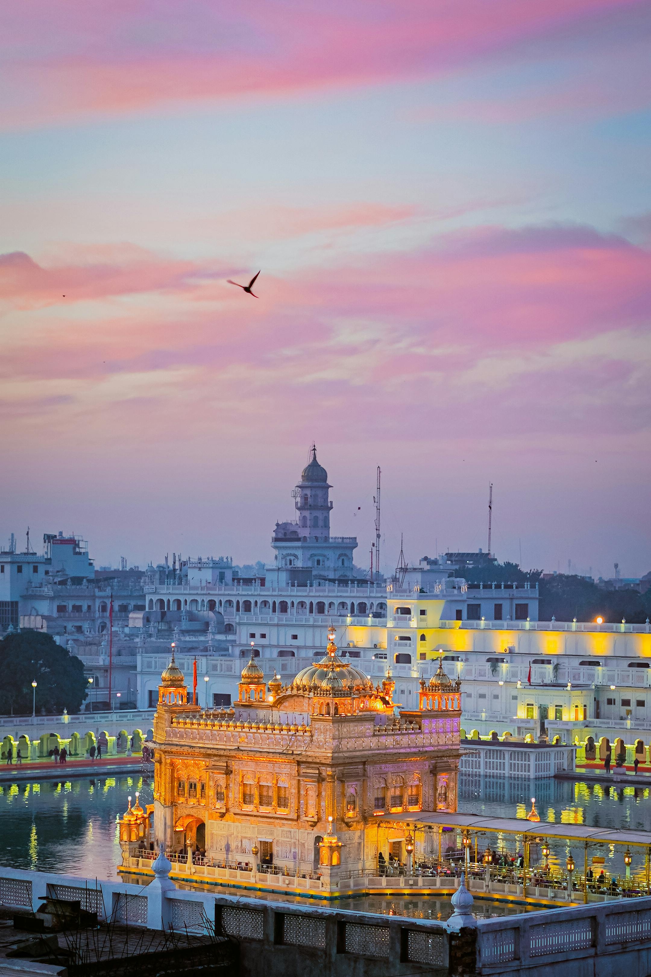 2160x3240 Golden Temple, Amritsar, Punjab, India, Phone