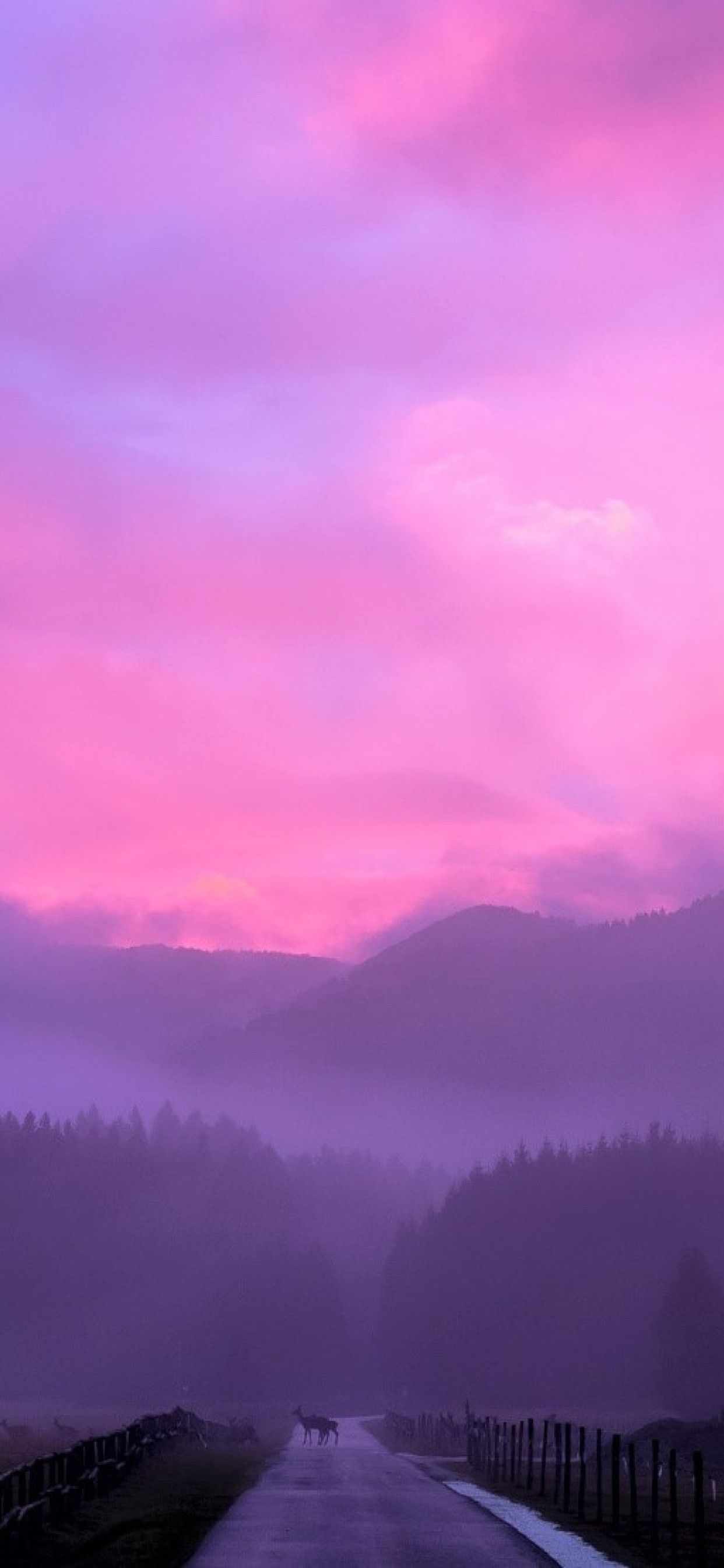 1250x2690 Misty Pink Sunset iPhone XS MAX HD 4k Wallpaper, Image, Phone