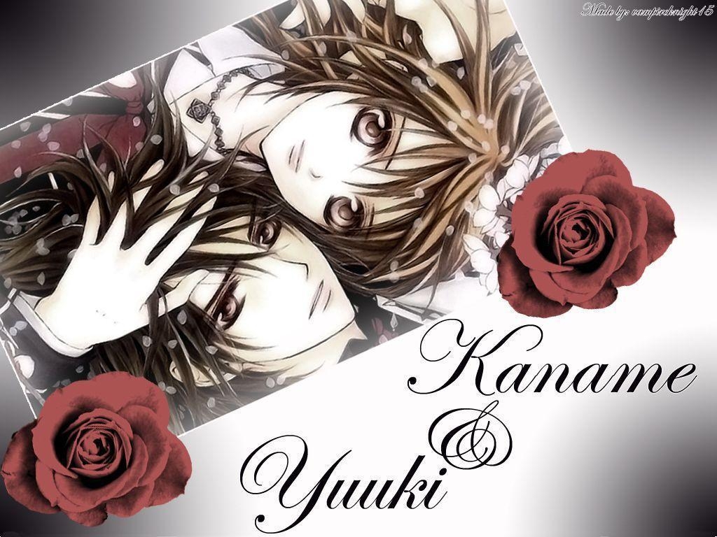 1030x770 Vampire Knight Knight Wallpaper, Desktop