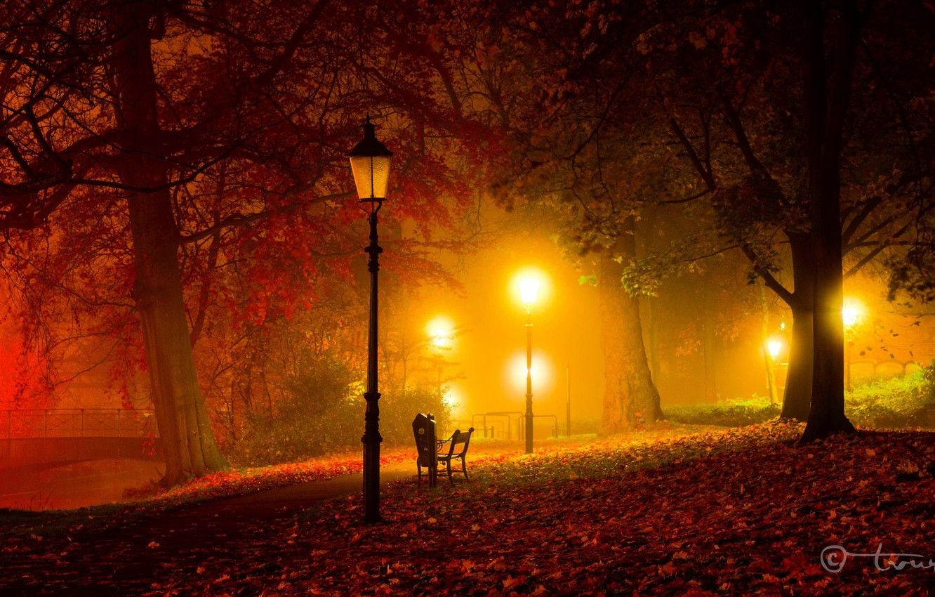 1340x850 Wallpaper autumn, light, trees, bench, night, bridge, Park, Desktop