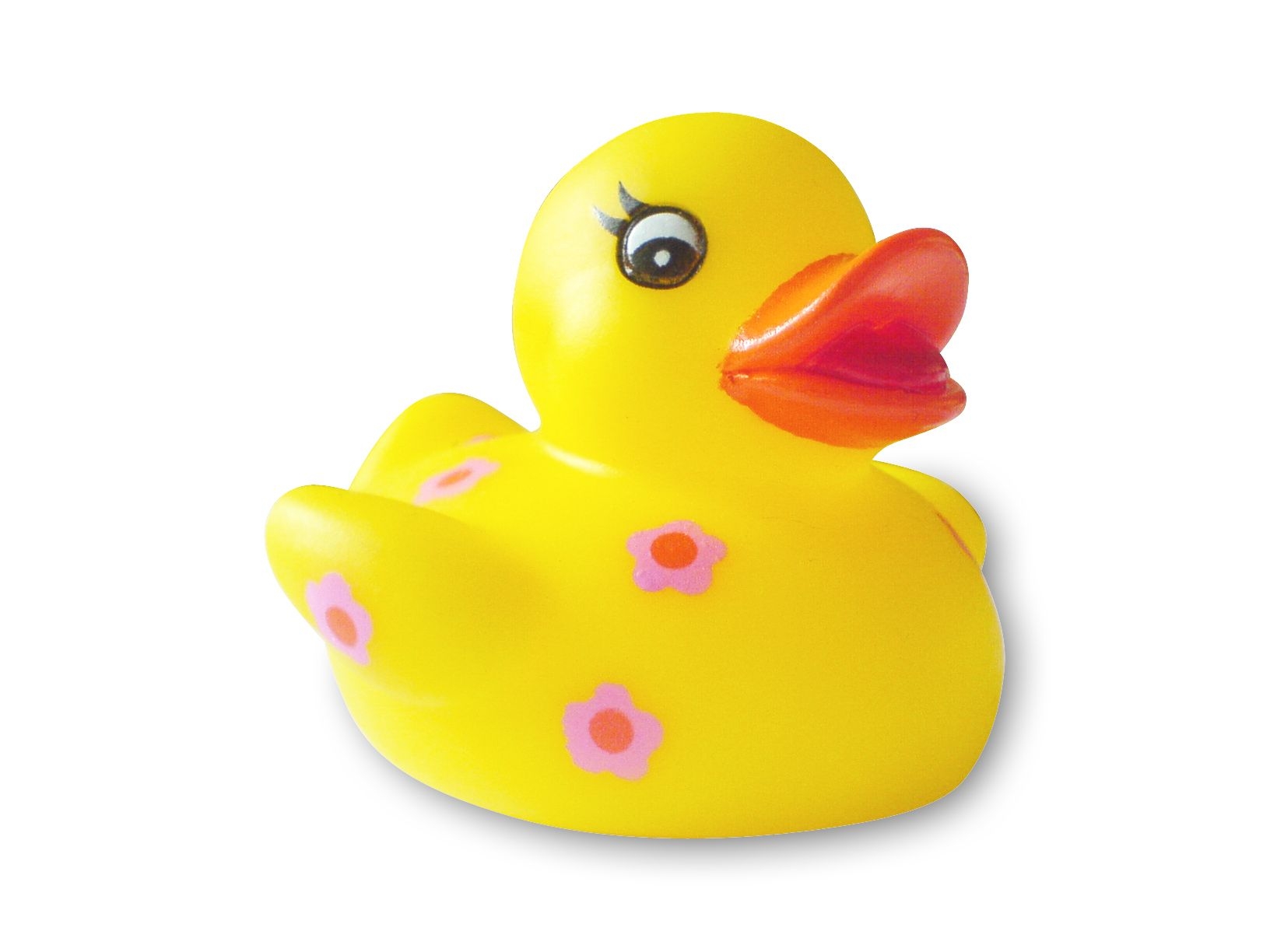 1640x1230 flower rubber duck, Desktop