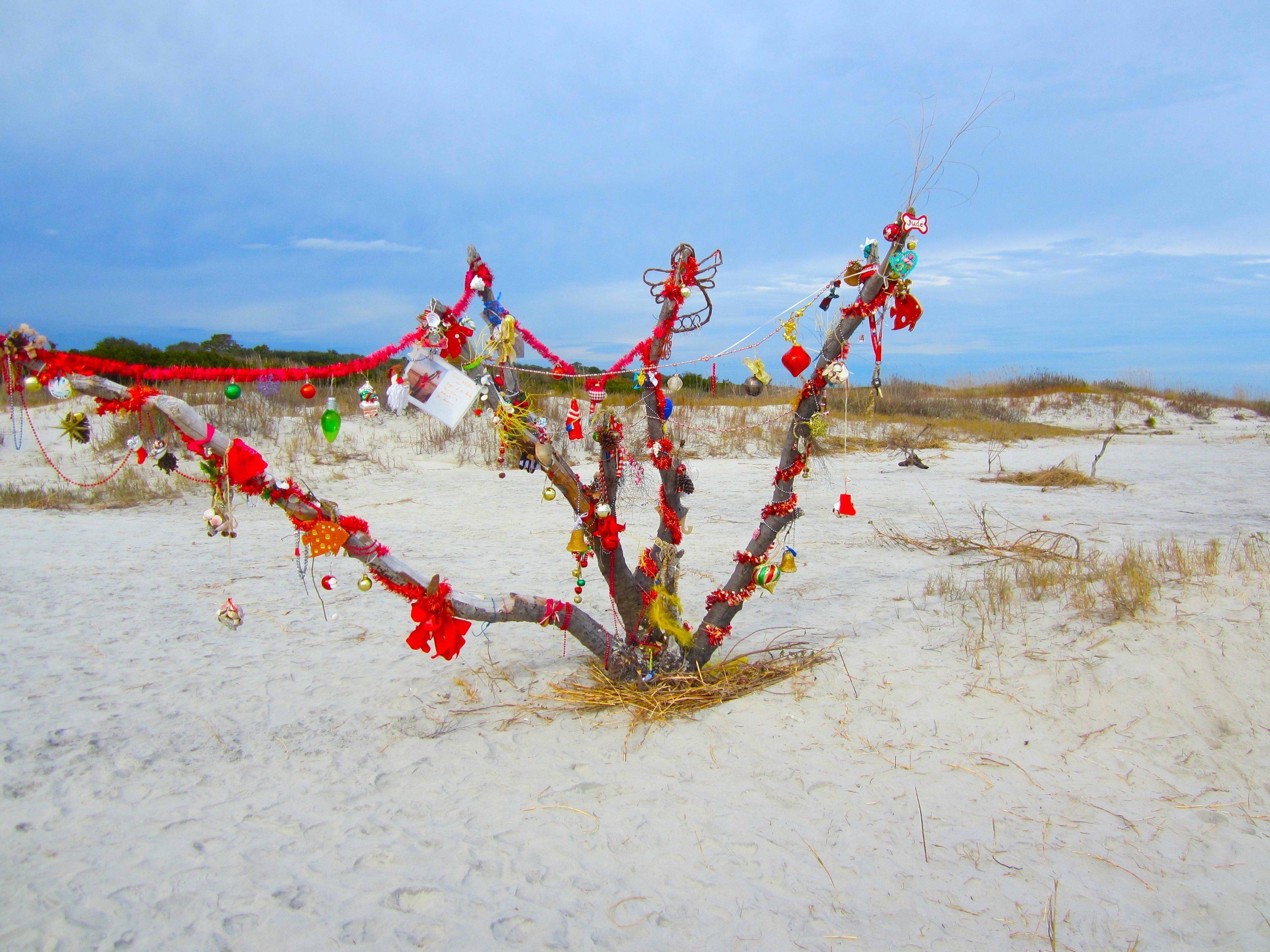 3200x2400 Xmas Stuff For > Beach Christmas Wallpaper, Desktop
