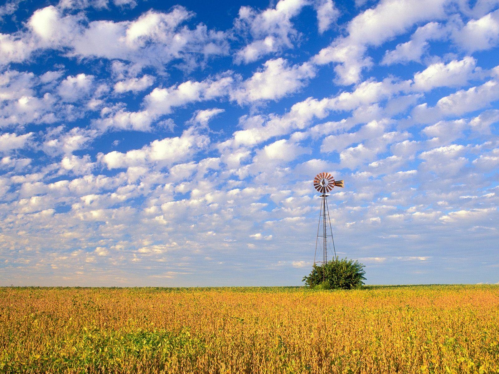 1600x1200 Download Background Field, Illinois Cool, Desktop