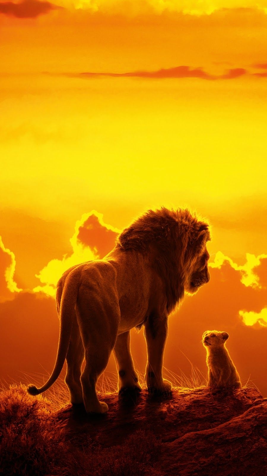 900x1600 The Lion King 2019 Mobile Wallpaper Mobile Walls, Phone