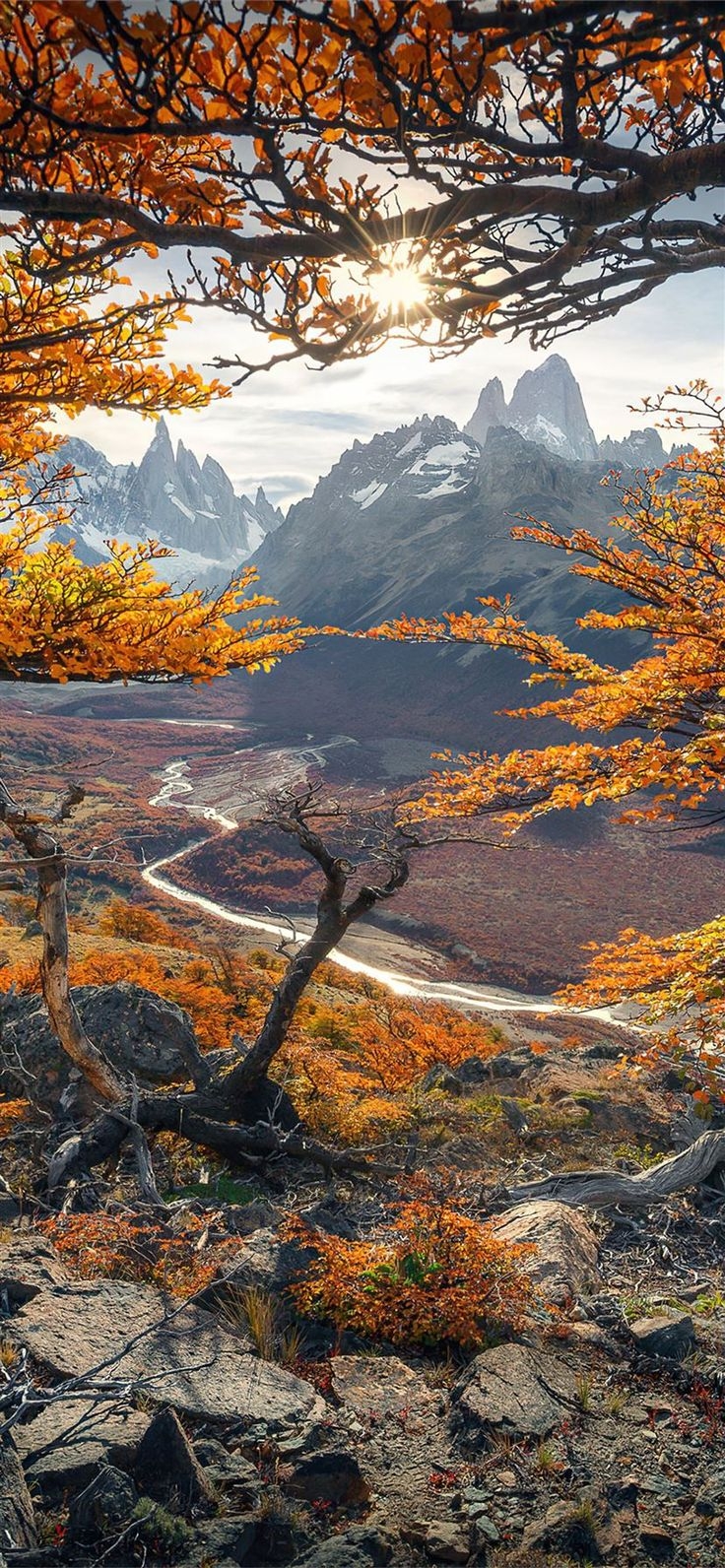 740x1600 Free download the beautiful autumn colours in patagonia 4k wallpaper , beaty your iphone. #autumn #nature. Scenery wallpaper, Wallpaper earth, Scenic wallpaper, Phone